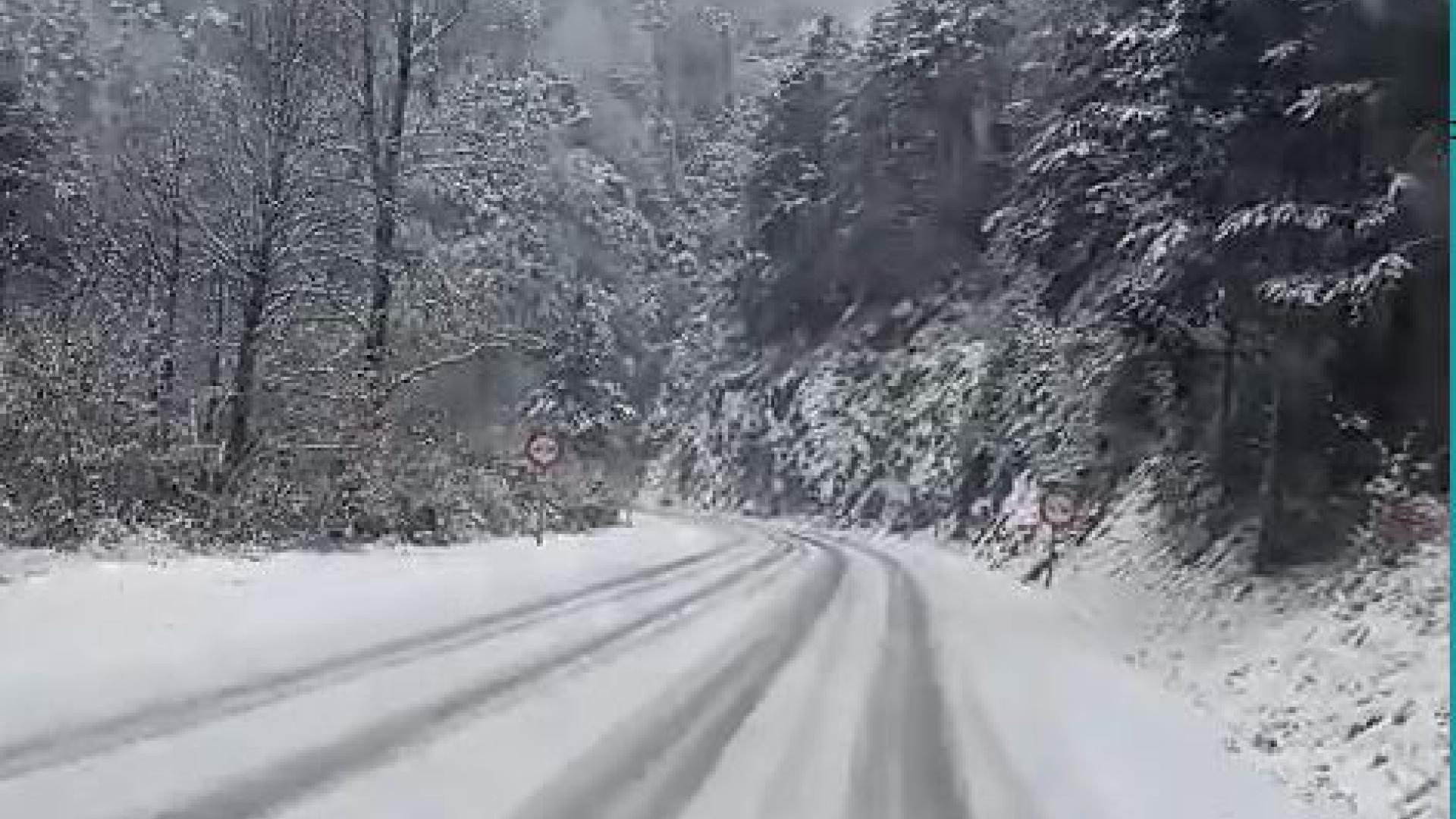 Nieve en la carretera de Isaba a Burgui