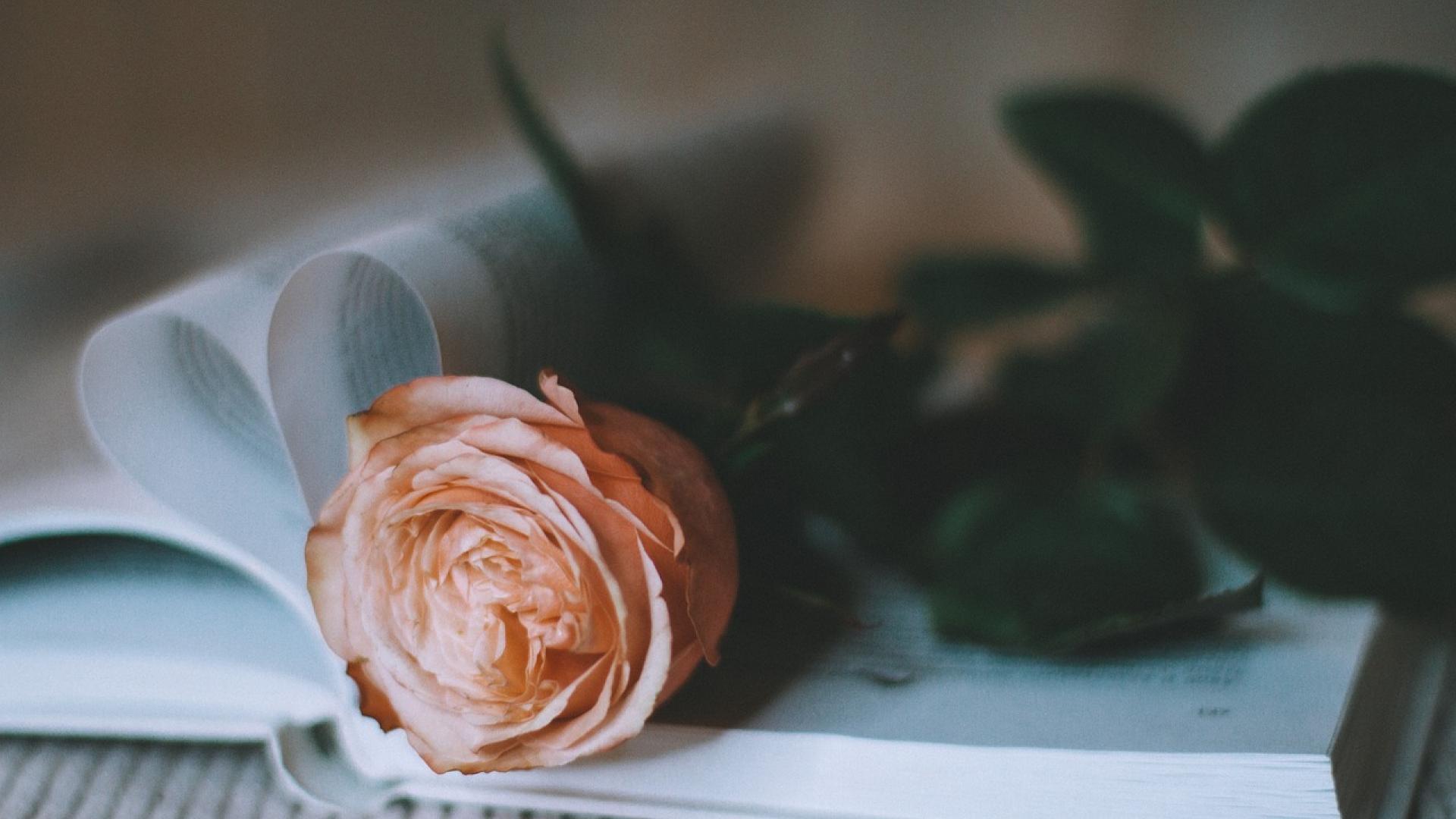 Las frases y los memes son una forma romántica y humorística respectivamente de felicitar San Valentín
