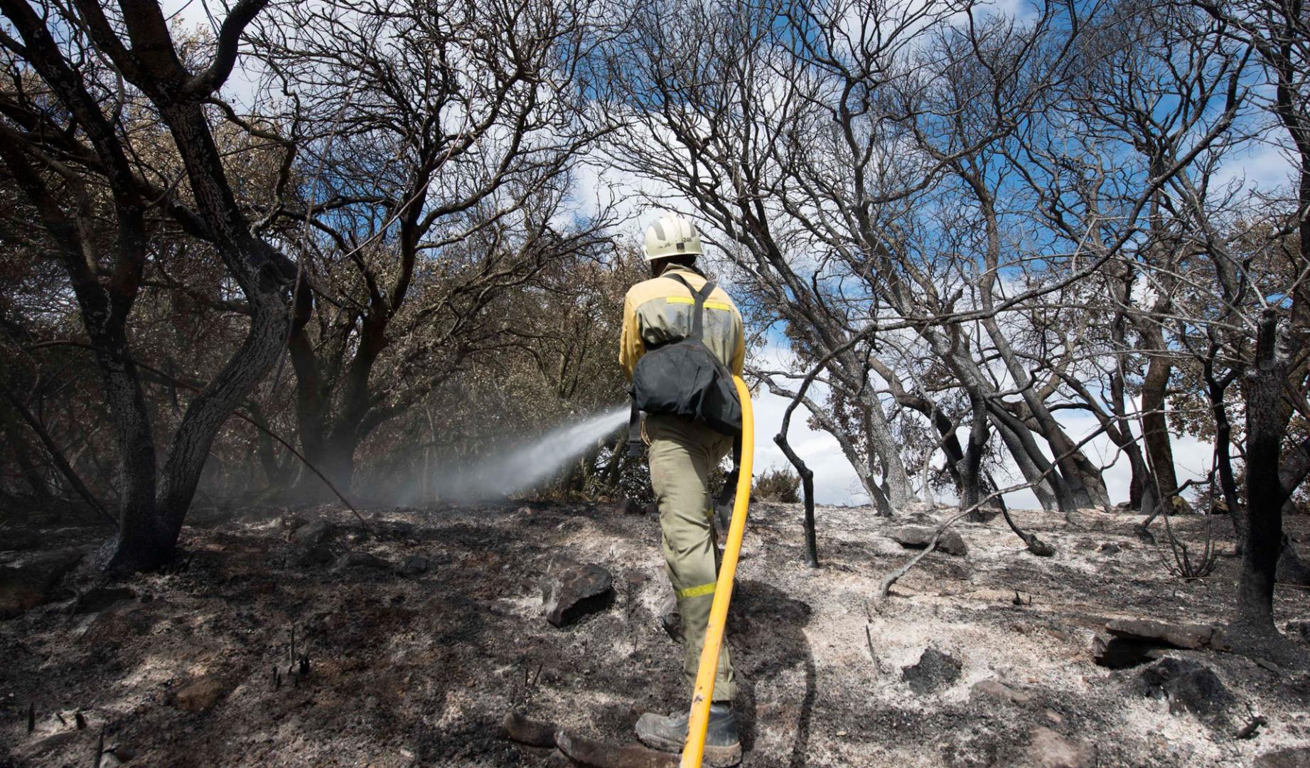 Un bombero apagando un incendio