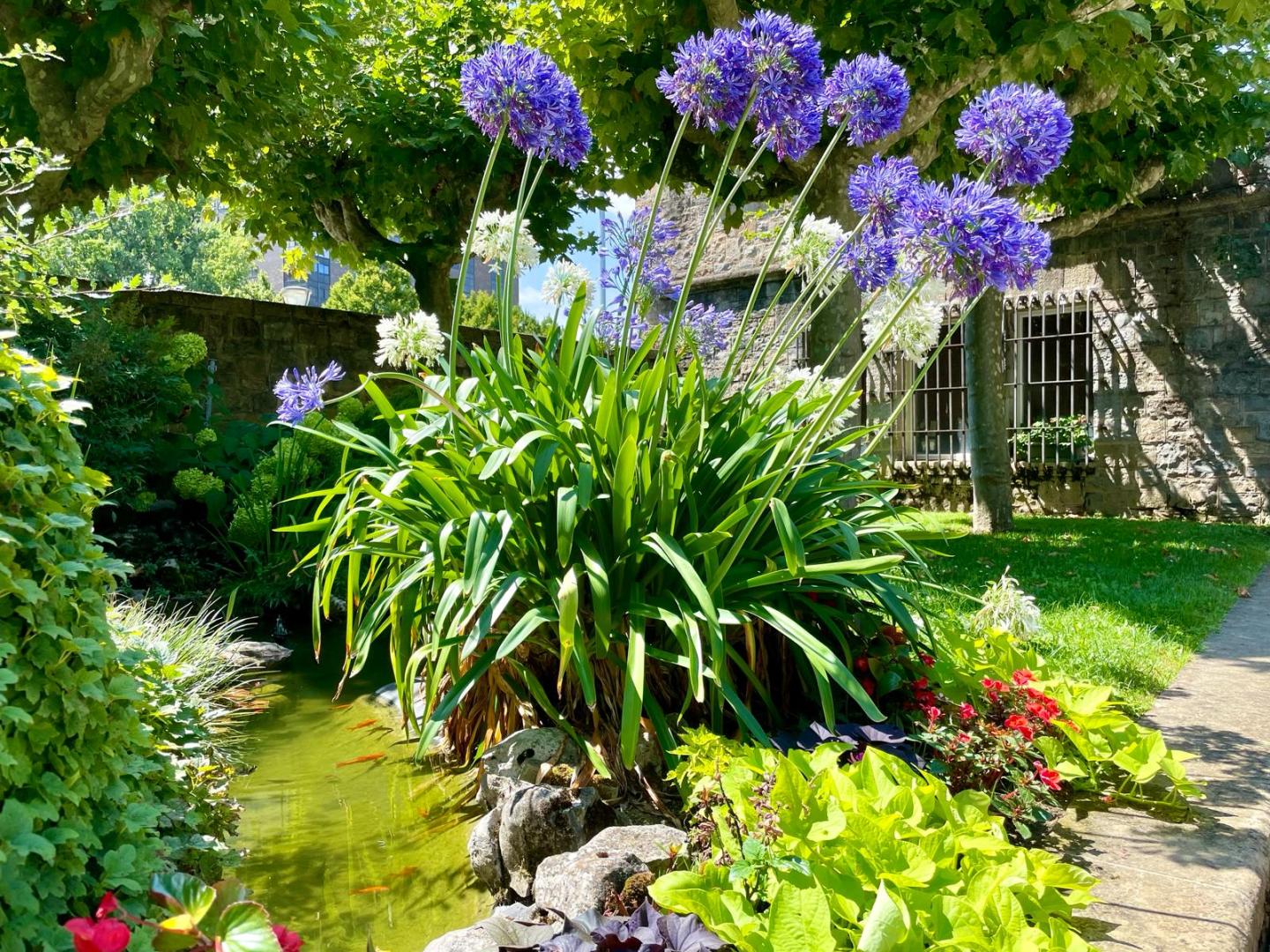 Primavera en los Jardines de la Taconera, Pamplona.