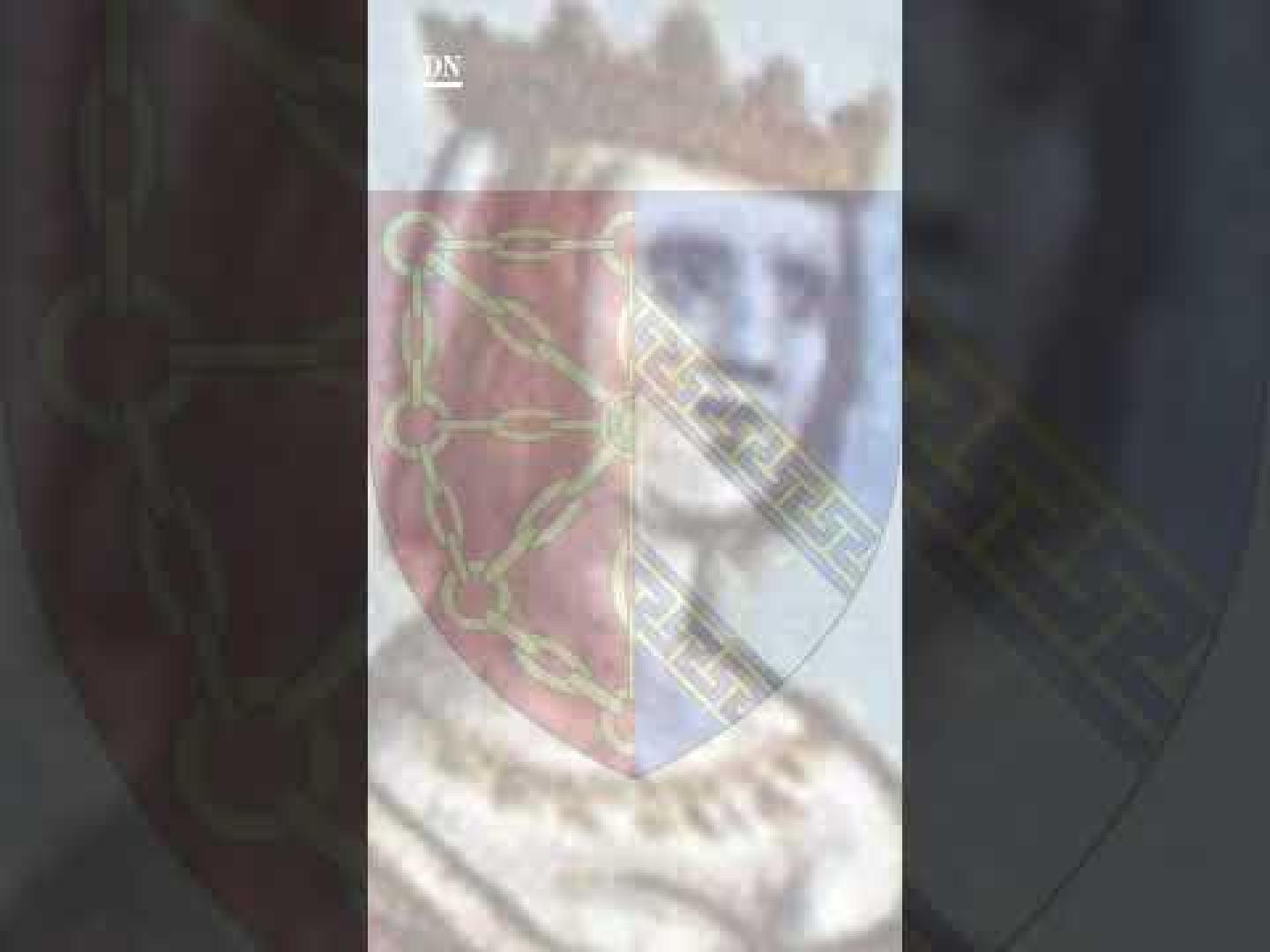 Vida de los reyes de Navarra en 1 minuto: Teobaldo I