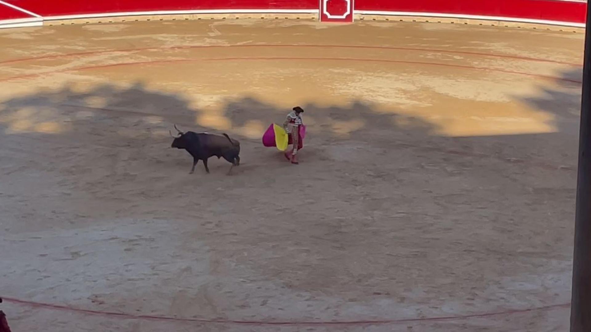 Roca Rey al capote por gaoneras