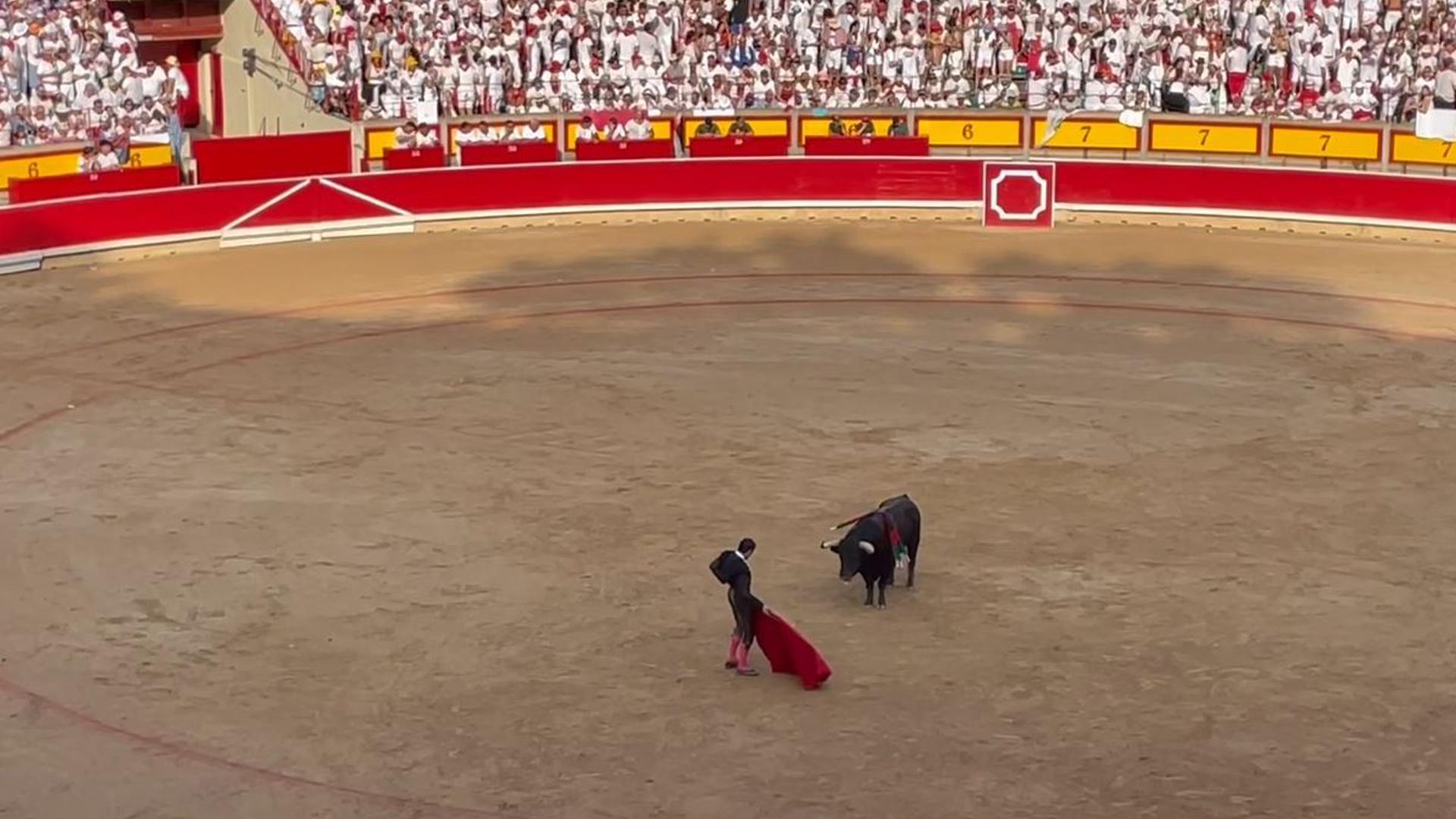 Derechazos de Ortega con el primer toro