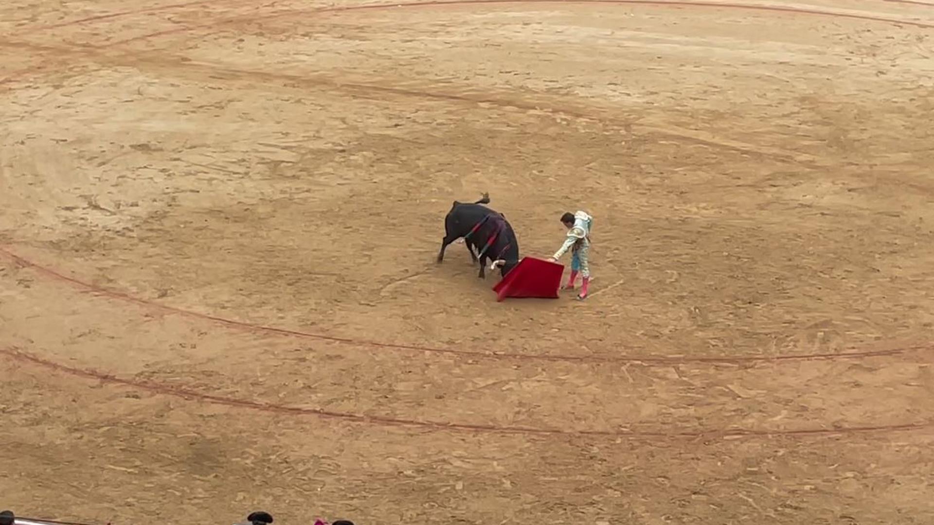 Arriesga Daniel Luque con el quinto toro de la tarde