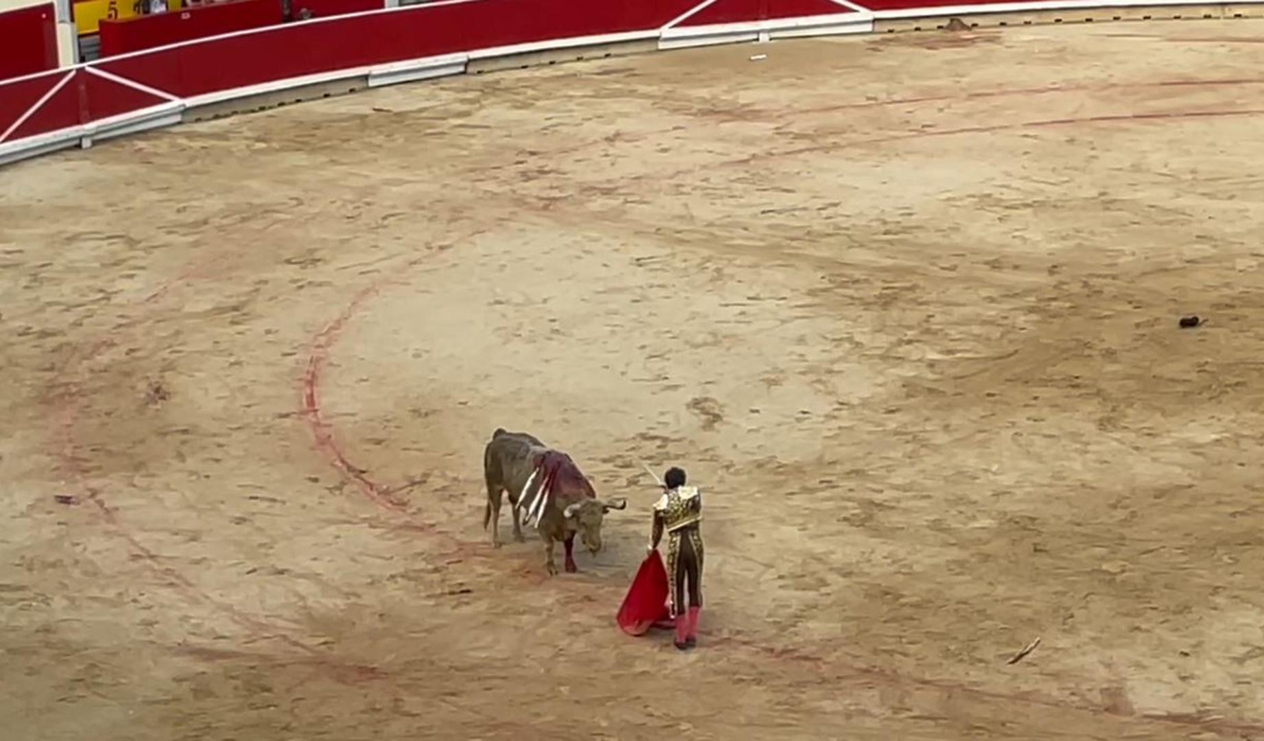 Estocada de Roca Rey con el quinto de la tarde