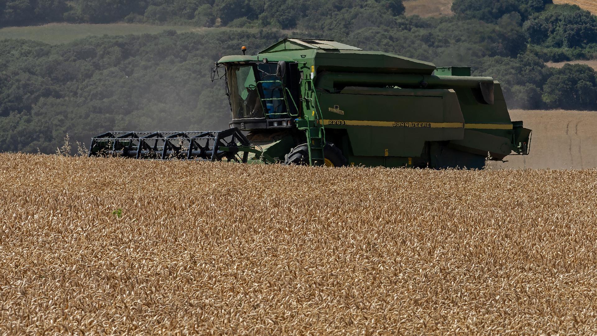 Imagen de recolección de cereal durante estos últimos días en Abárzuza, localidad de Tierra Estella
*T: AGRICULTURA RECOLECCION DE CEREAL SEGADORA COSECHADORA
*P: