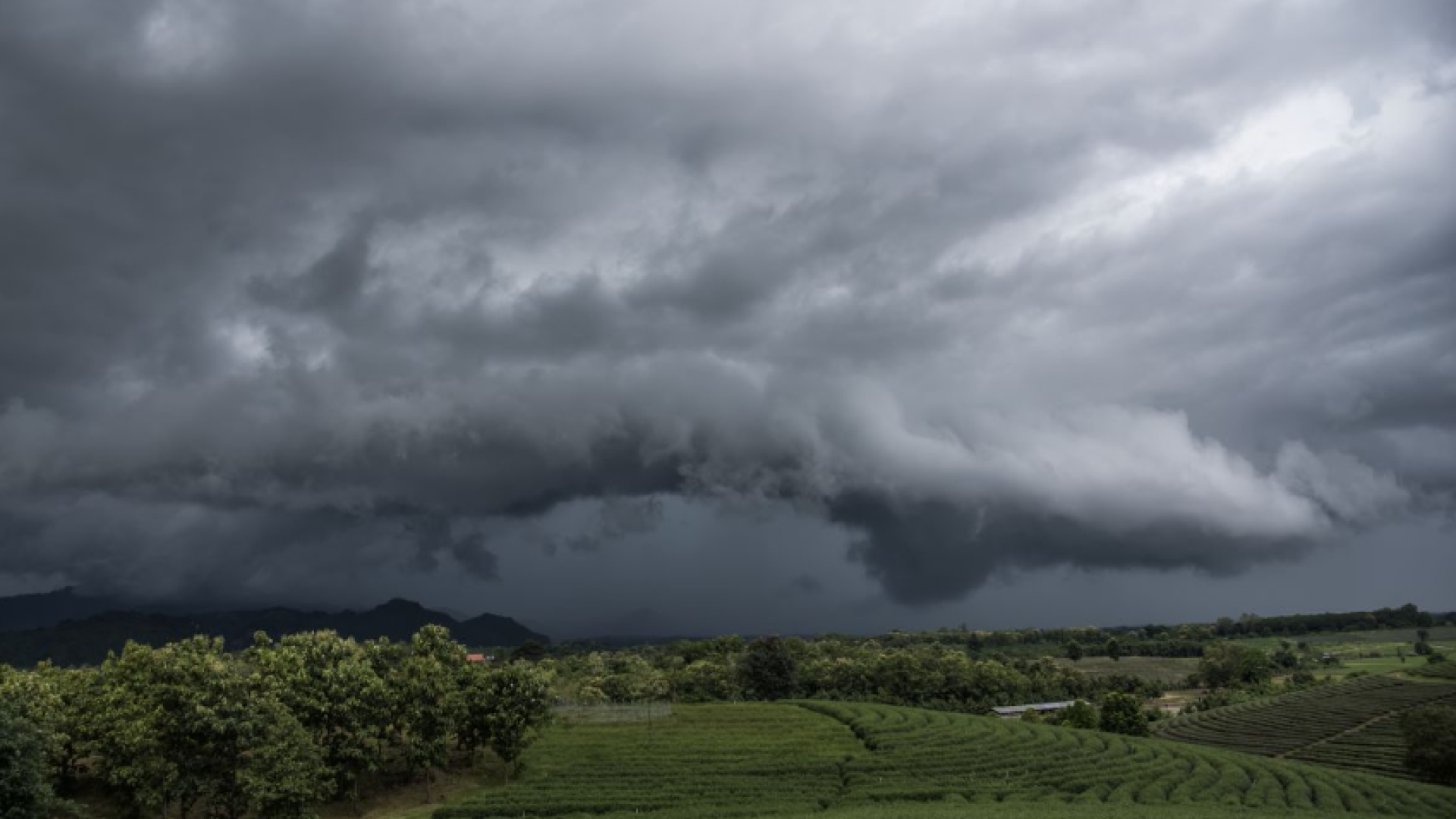 Julio y agosto son los meses donde más tormentas se producen a causa del aire caliente que hay en la zona baja de la atmósfera, que sube hacia los niveles altos de esta y puede llegar a producir lluvias torrenciales