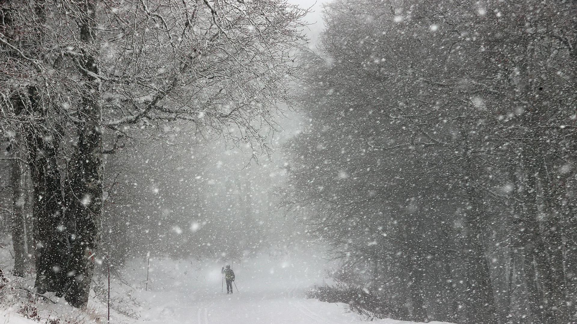 Fotos de la nieve en el Pirineo Navarro