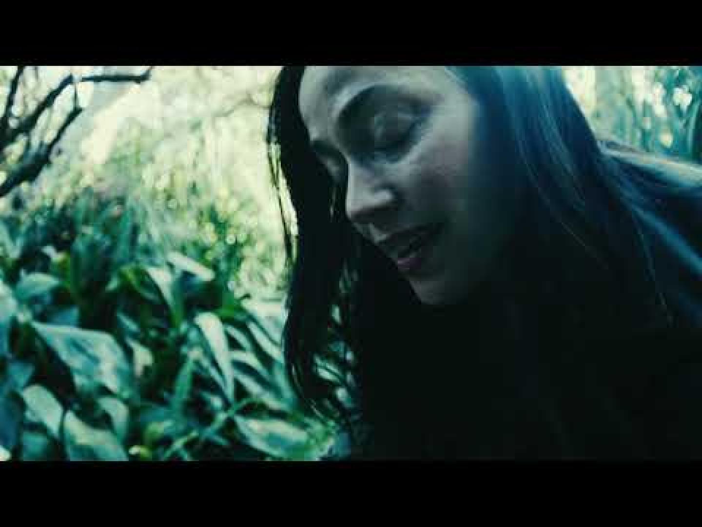 STICK TO YOUR GUNS 'Keep planting flowers'