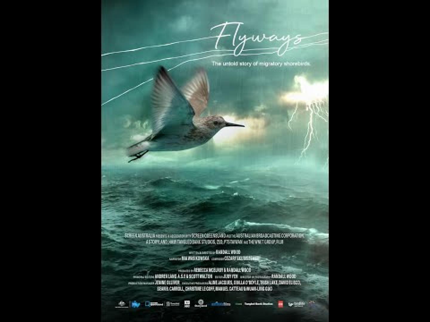 'Rutas migratorias' Tráiler.