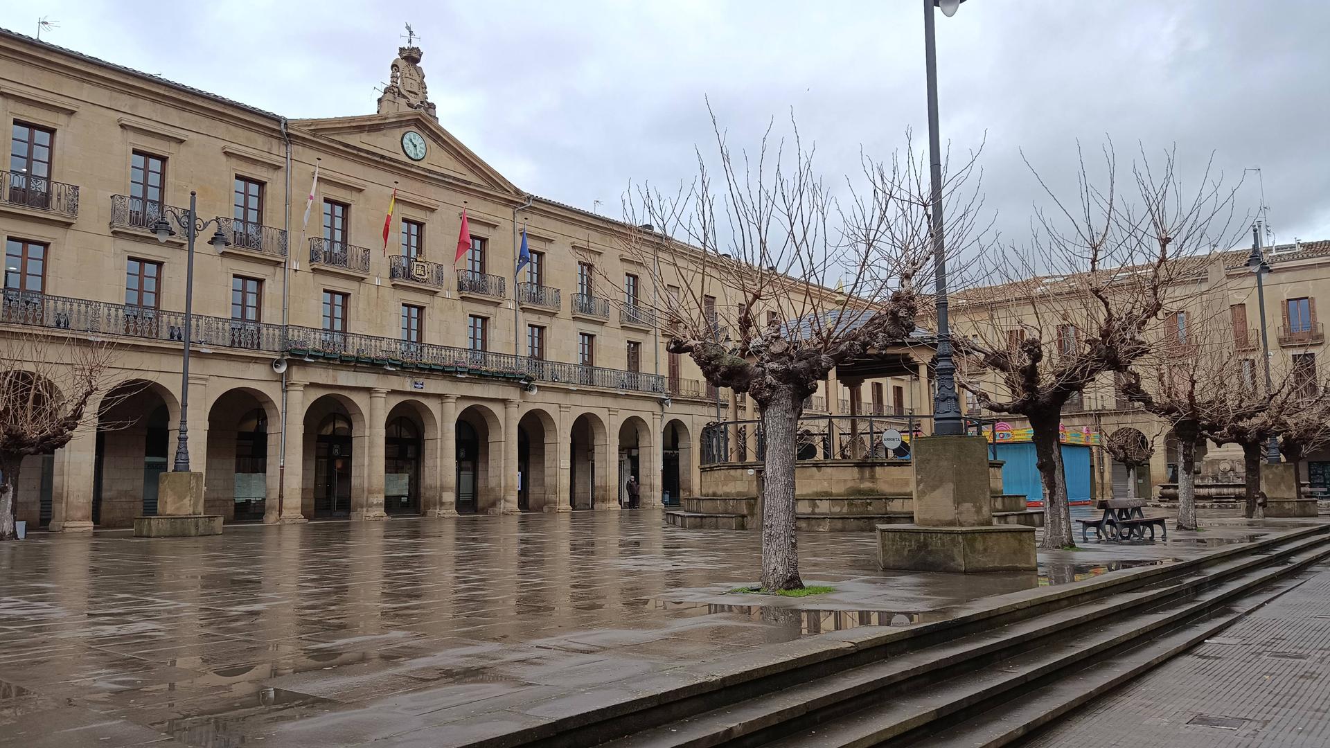 Vista de parte de los árboles de la plaza de Navarra, ahora sin hoja, algunos de los cuales se van a reemplazar ya este mismo año
