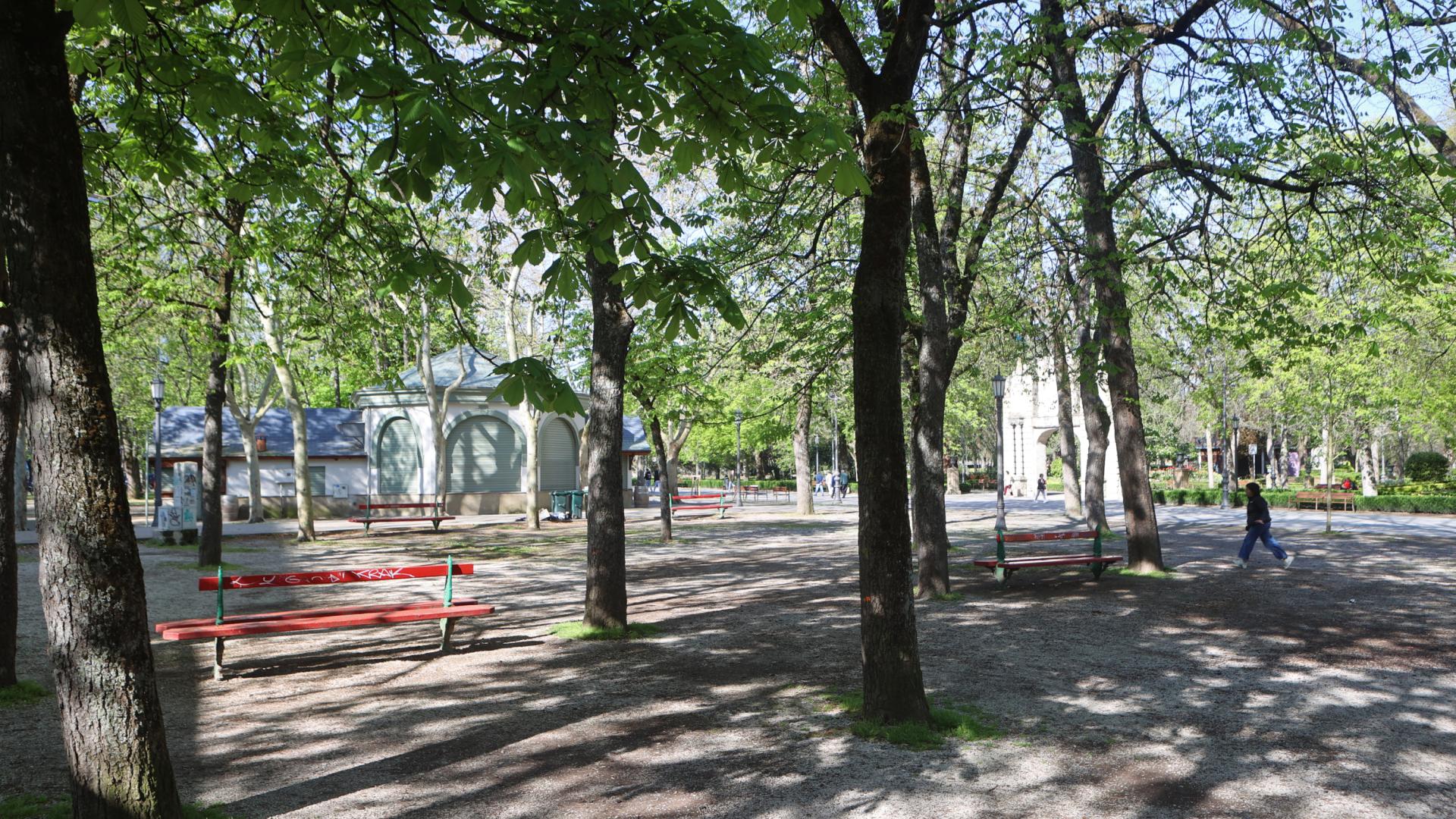 El Bosquecillo y sus árboles con el bar del mismo nombre al fondo