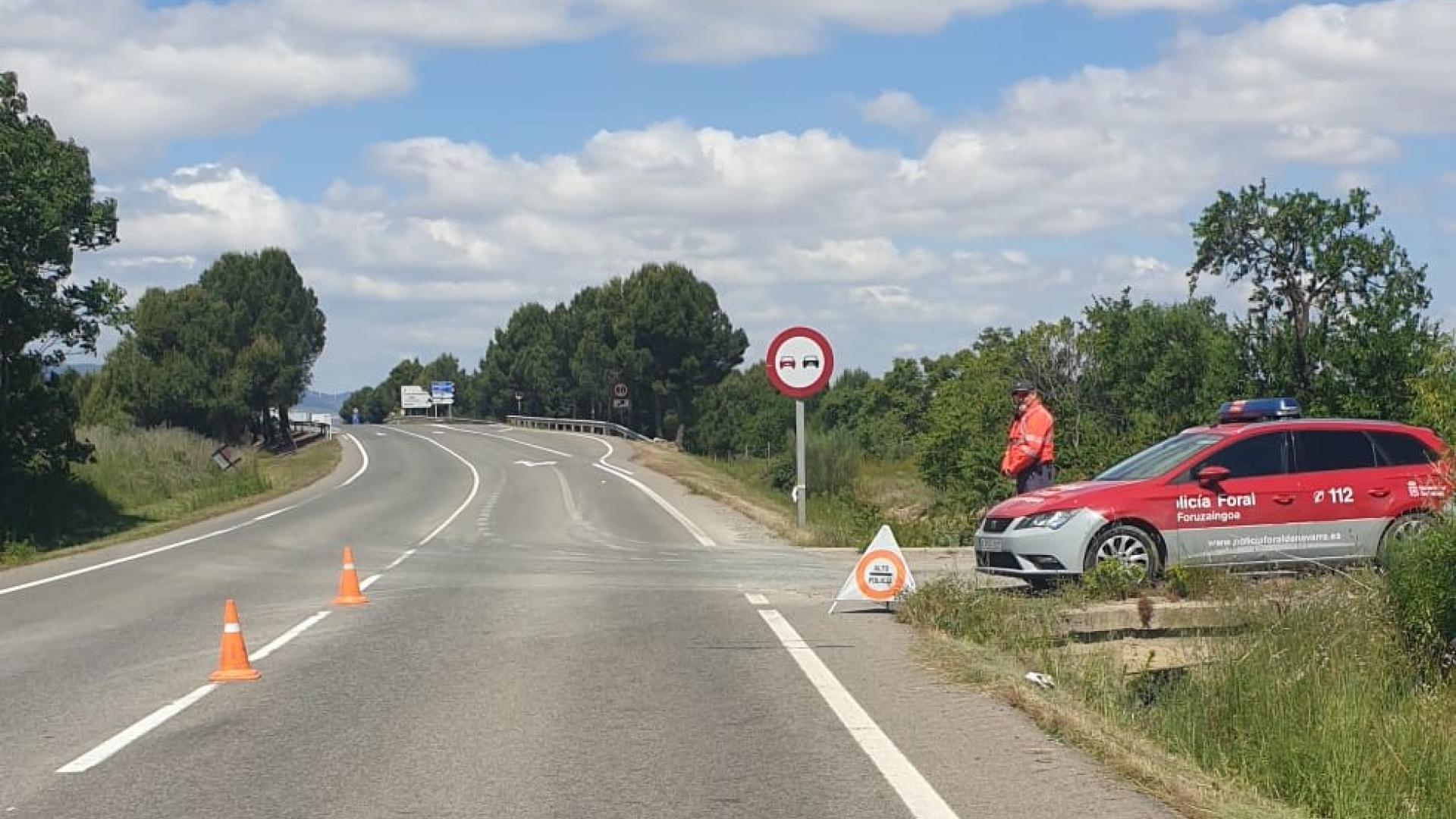 Un control de Policía Foral durante el pasado fin de semana