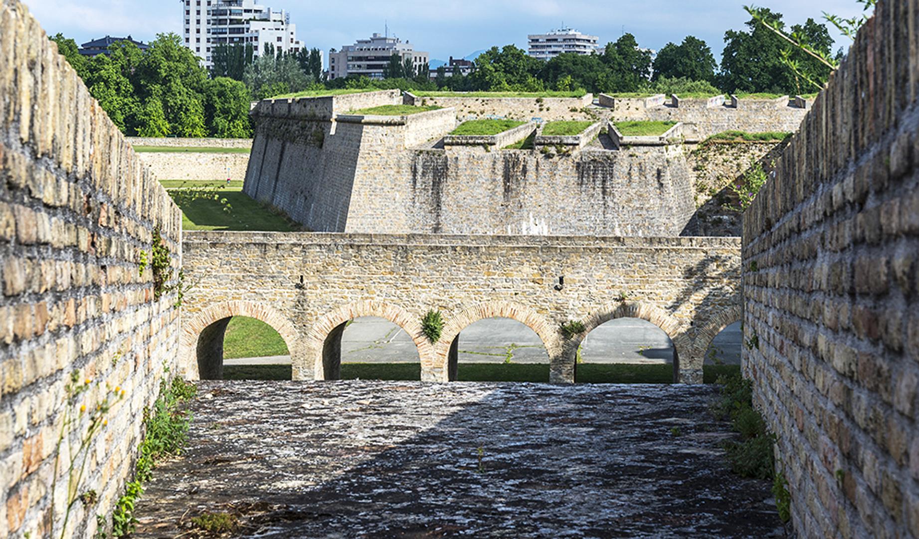 Un tramo de las murallas de Pamplona cuya conservación tendrá en cuneta especies vegetales y de fauna /