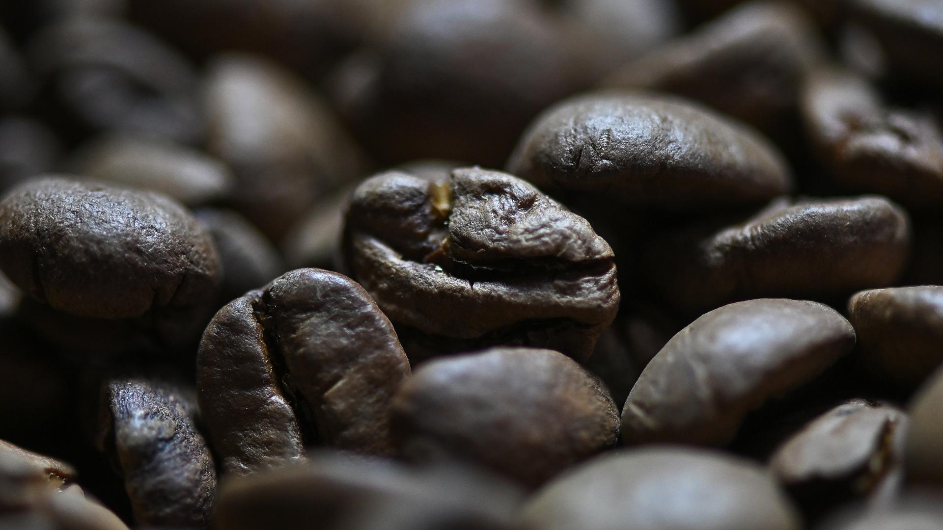 Granos de café ya tostados /