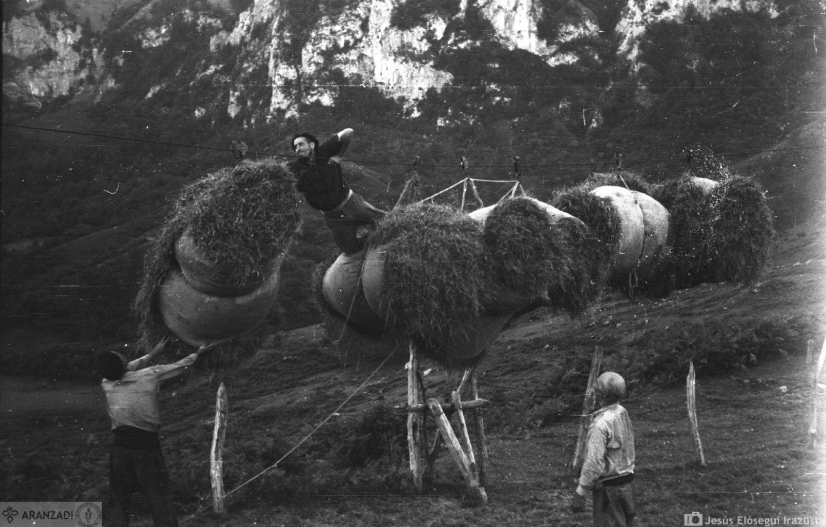 Imagen de archivo del sistema de cable utilizado en el valle de Araitz para el transporte de hierba de las Malloas.