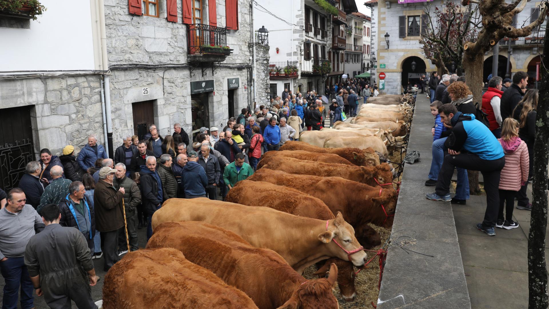 Instantánea de las ferias de Lesaka del año pasado.