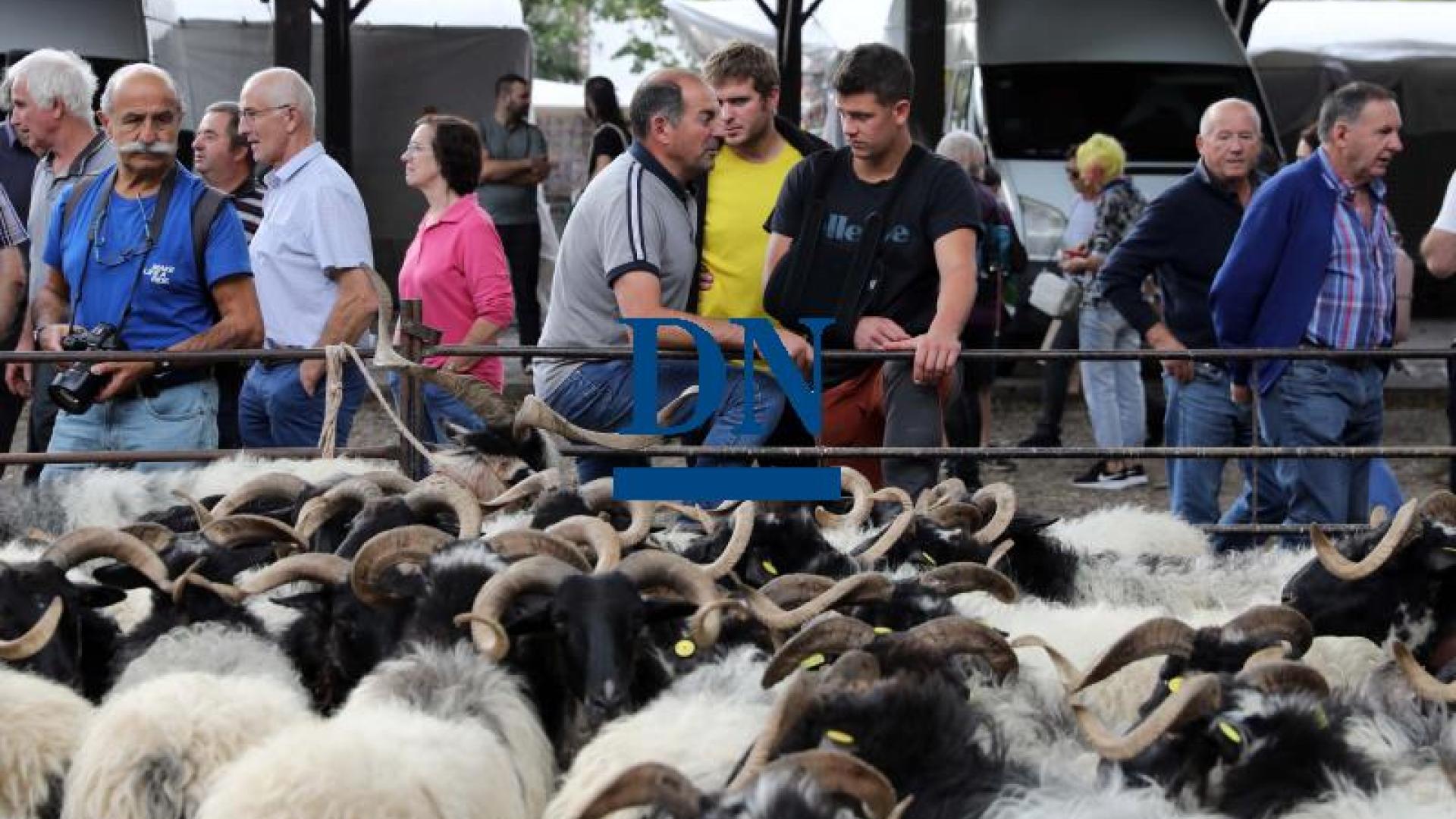 Imagen de las Ferias de Otoño en Elizondo en una edición anterior.