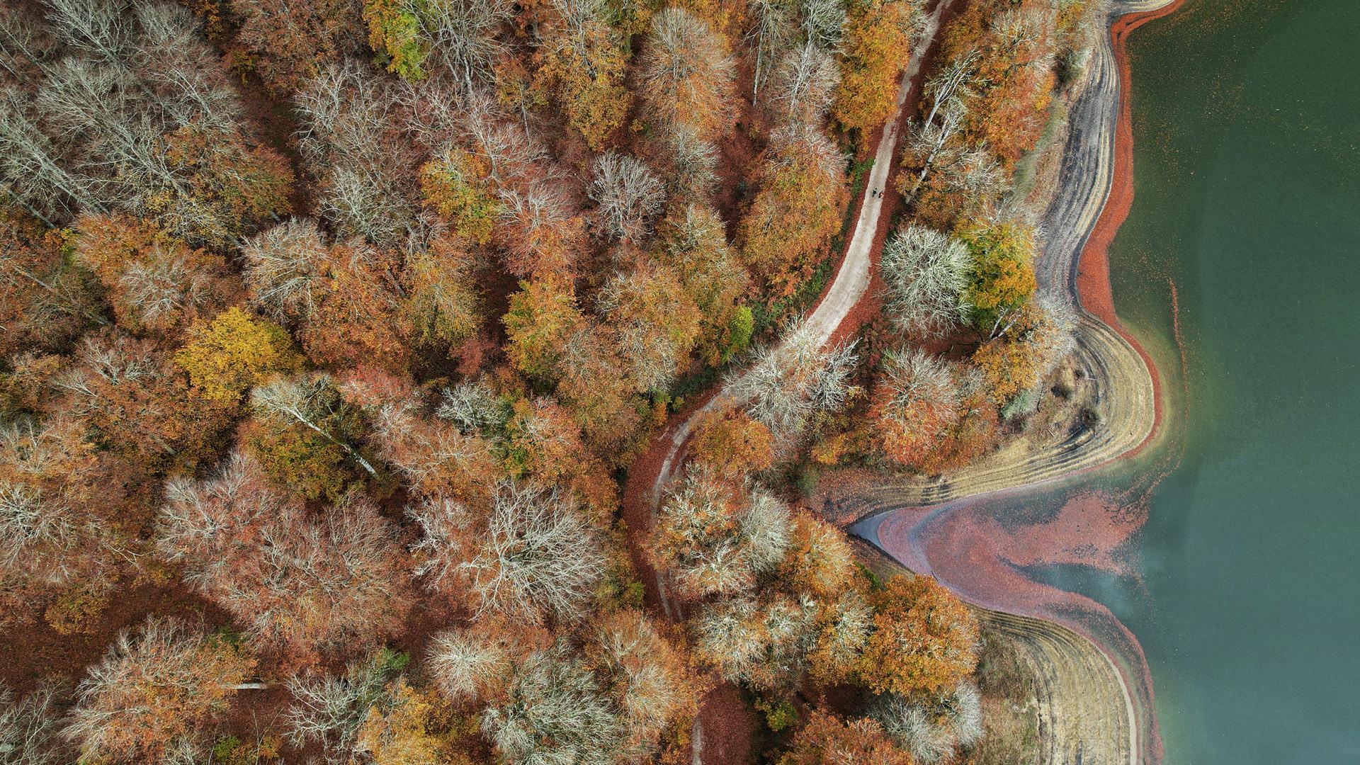 Ecos del agua (finalista 'Paisajes habitados' del Concurso Conocer Navarra 2025)