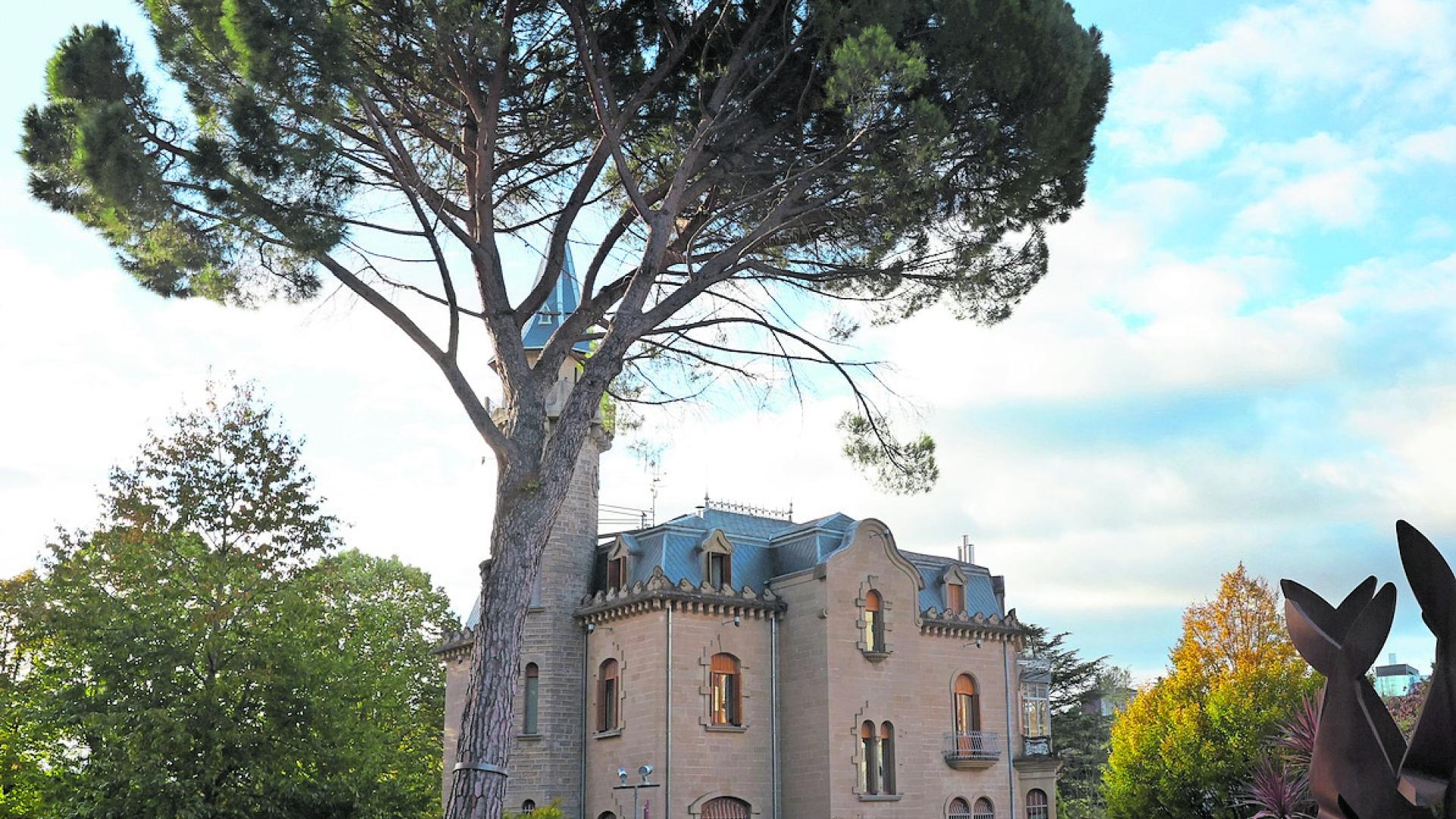 El pino, de grandes dimensiones, junto al Palacete Municipal