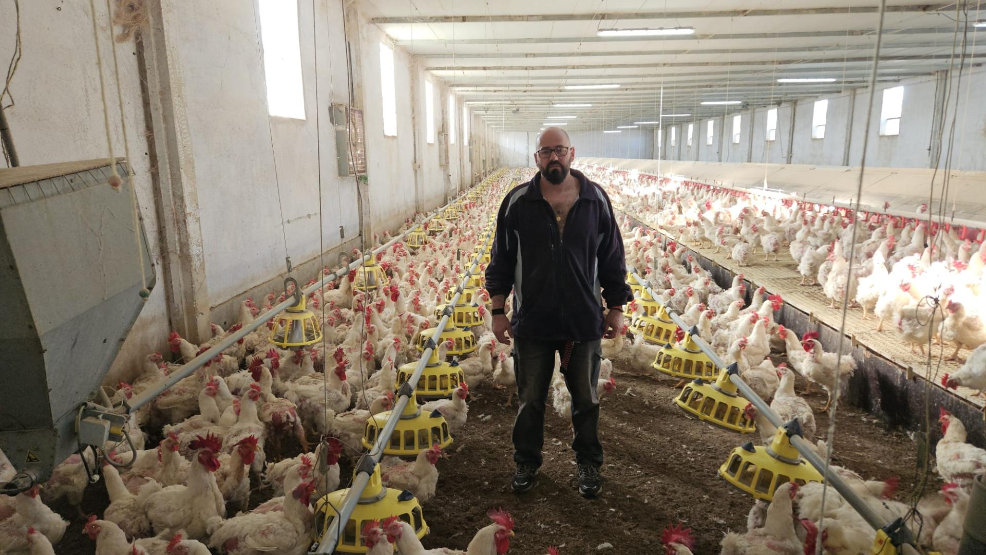 Jorge Calonge Flamarique, en su granja de gallinas de Tafalla