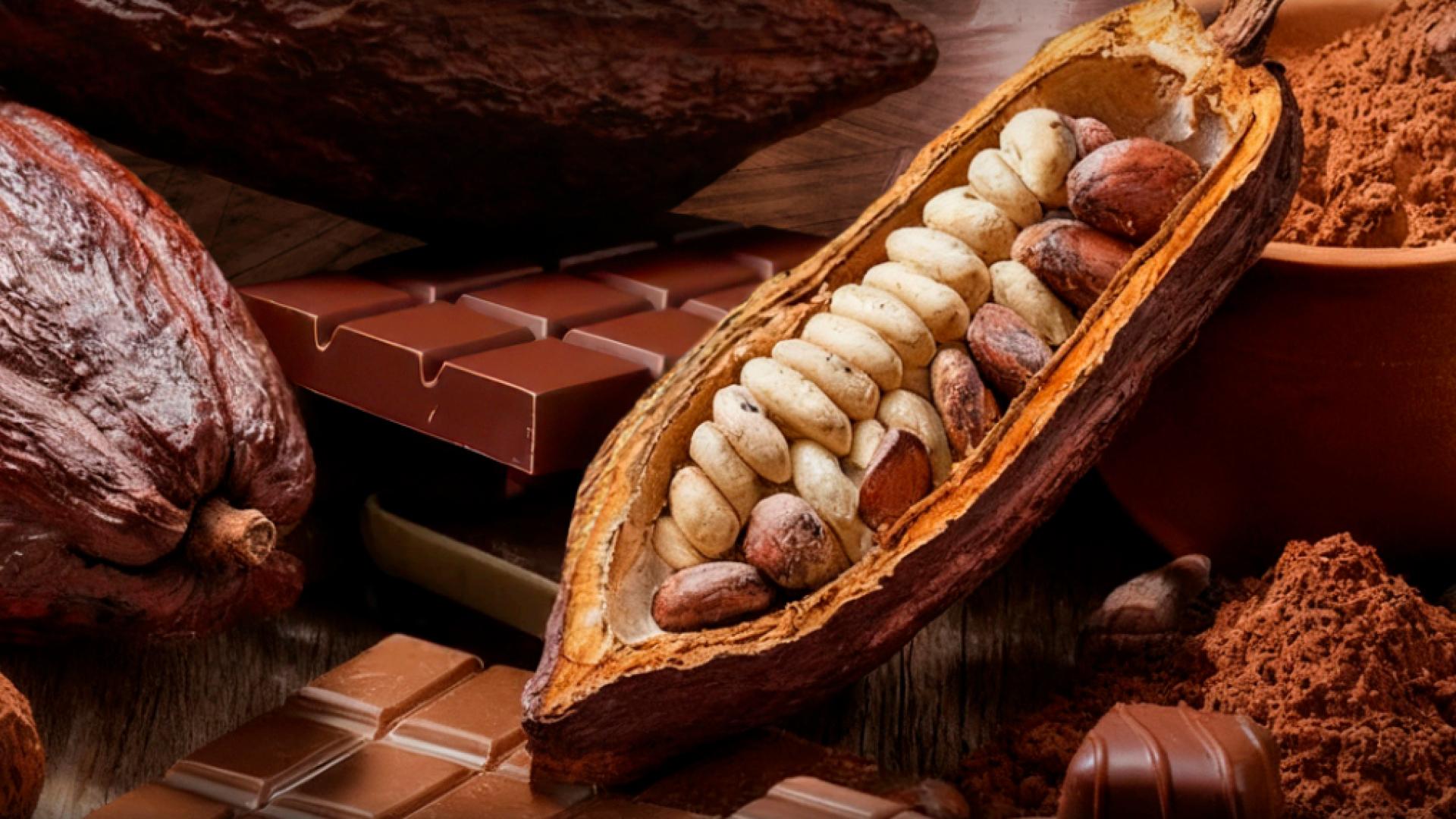 Chocolate, en diferentes formas