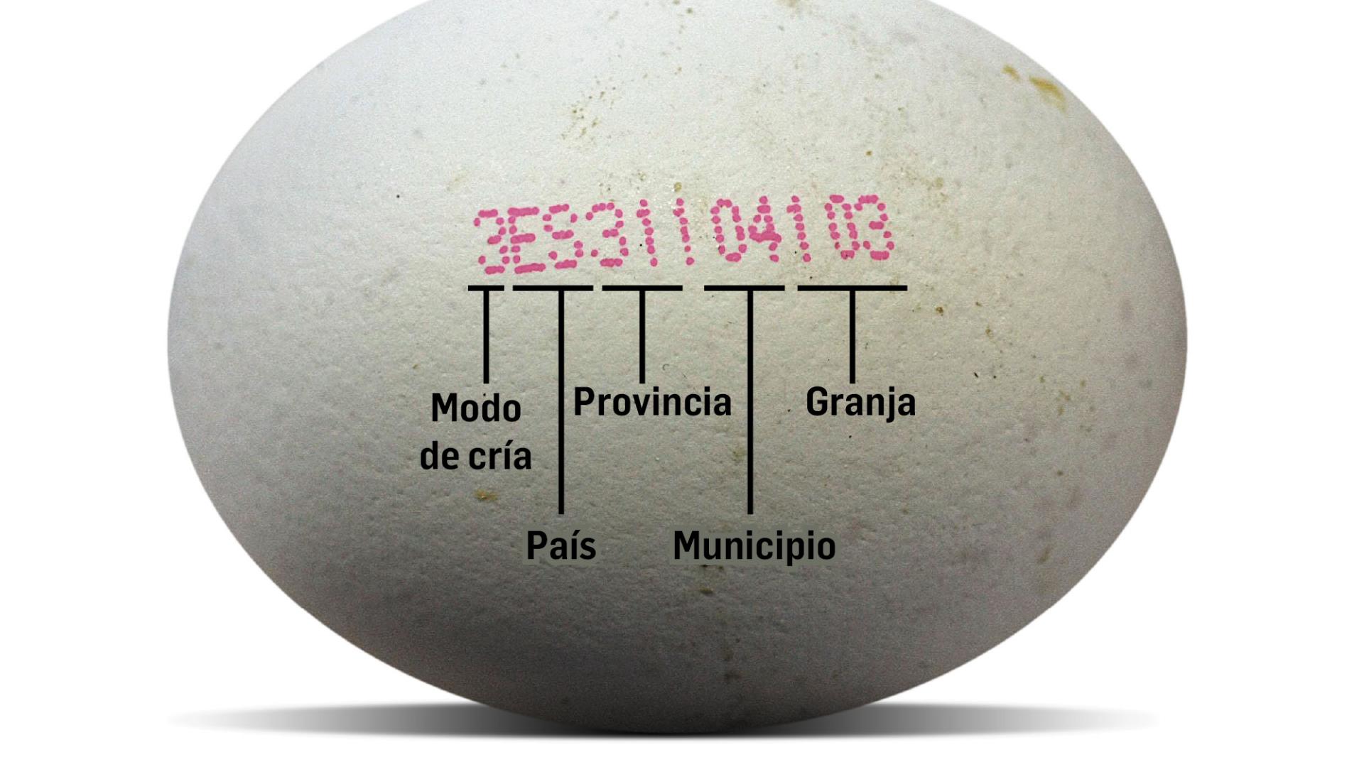 Numeraciçomn