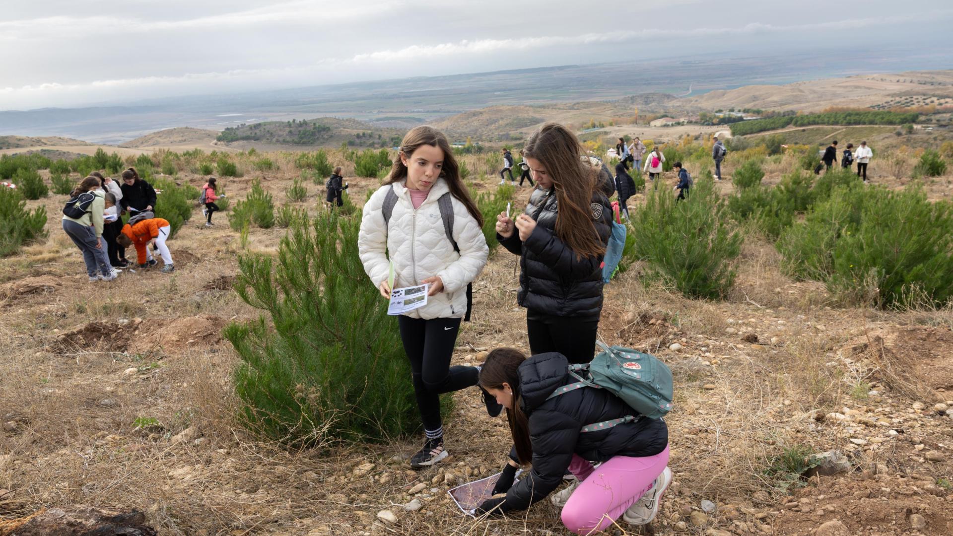 Los alumnos del colegio público de Arguedas, durante la plantación ayer en el parque Sendaviva