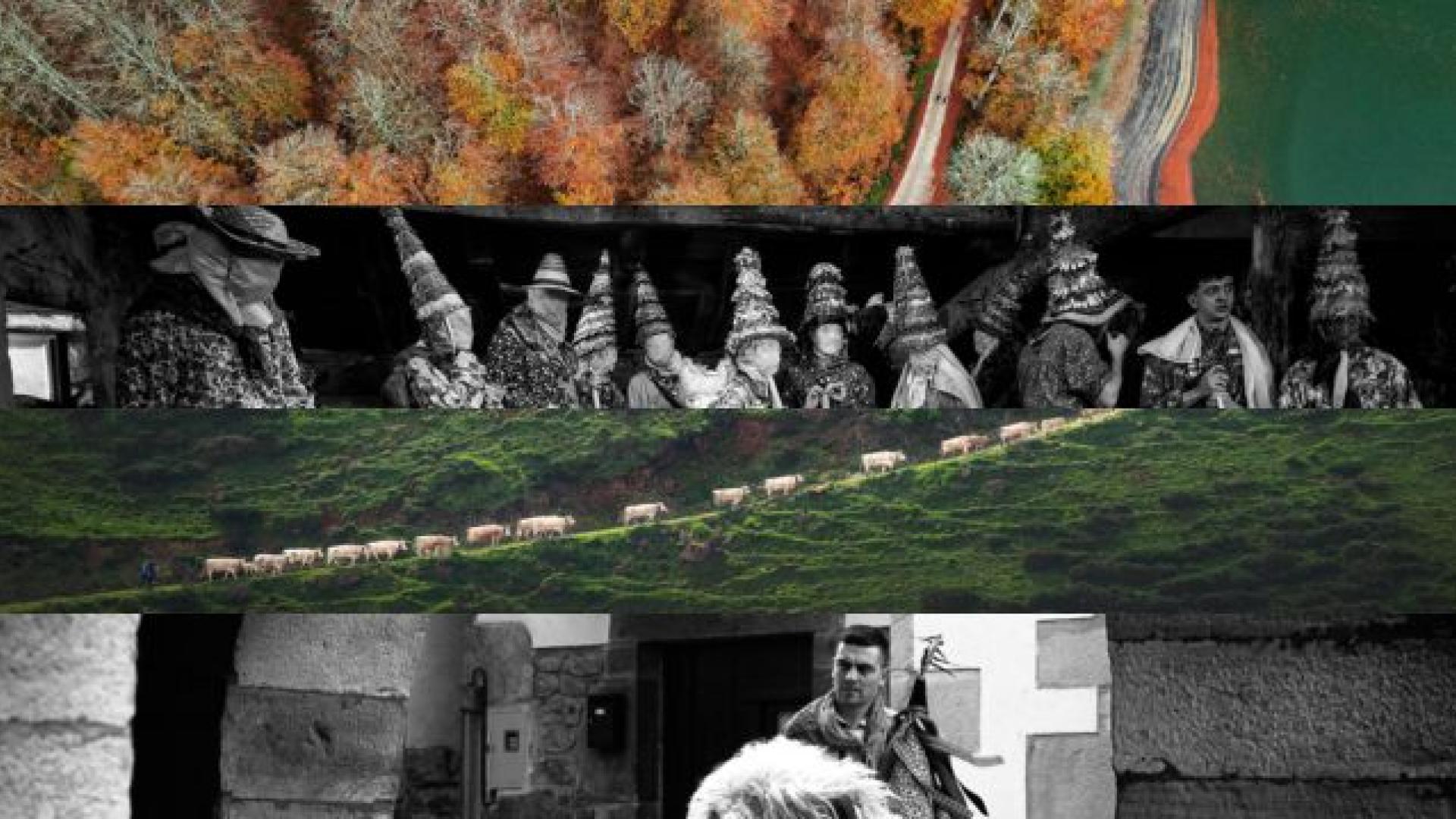 Collage ganadores Concurso Conocer Navarra 2025