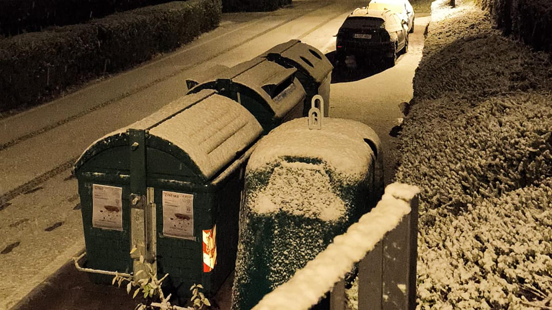 Erice de iza bajo la nieve /