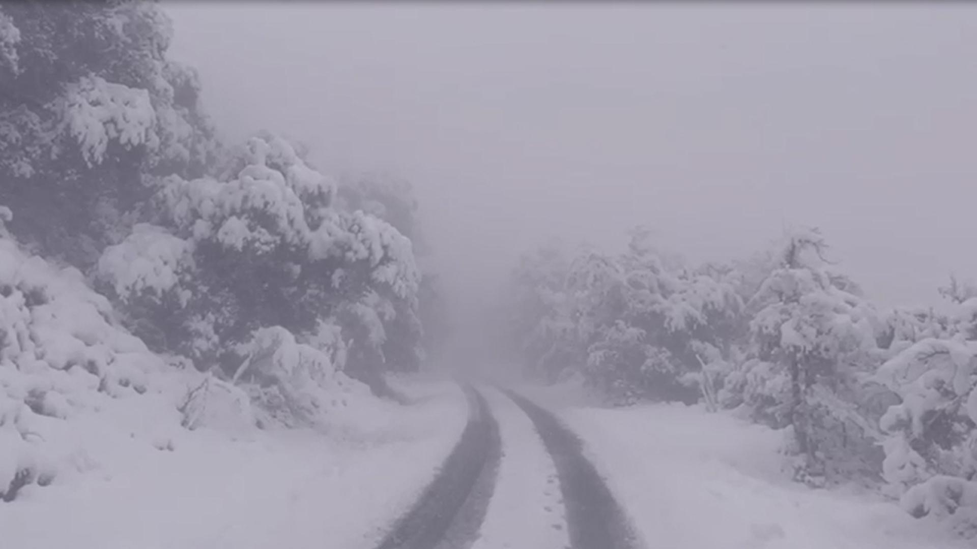 La primera nevada de la temporada ha dejado una estampa invernal en las laderas de San Cristóbal