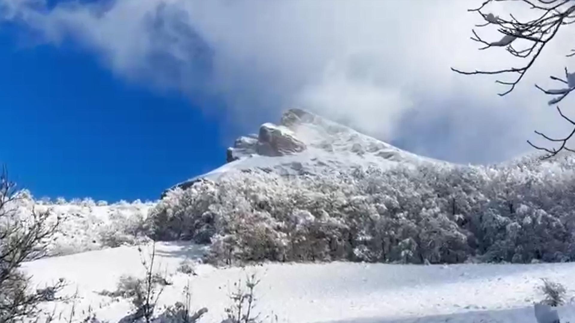 Este viernes 21 de noviembre están cubiertos por la nieve