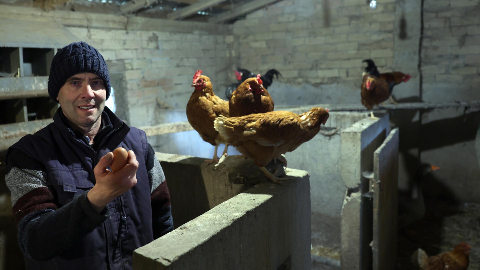 Joxe Manuel Huici Antón muestra un huevo recién cogido del cobertizo donde están recogidas sus gallinas.