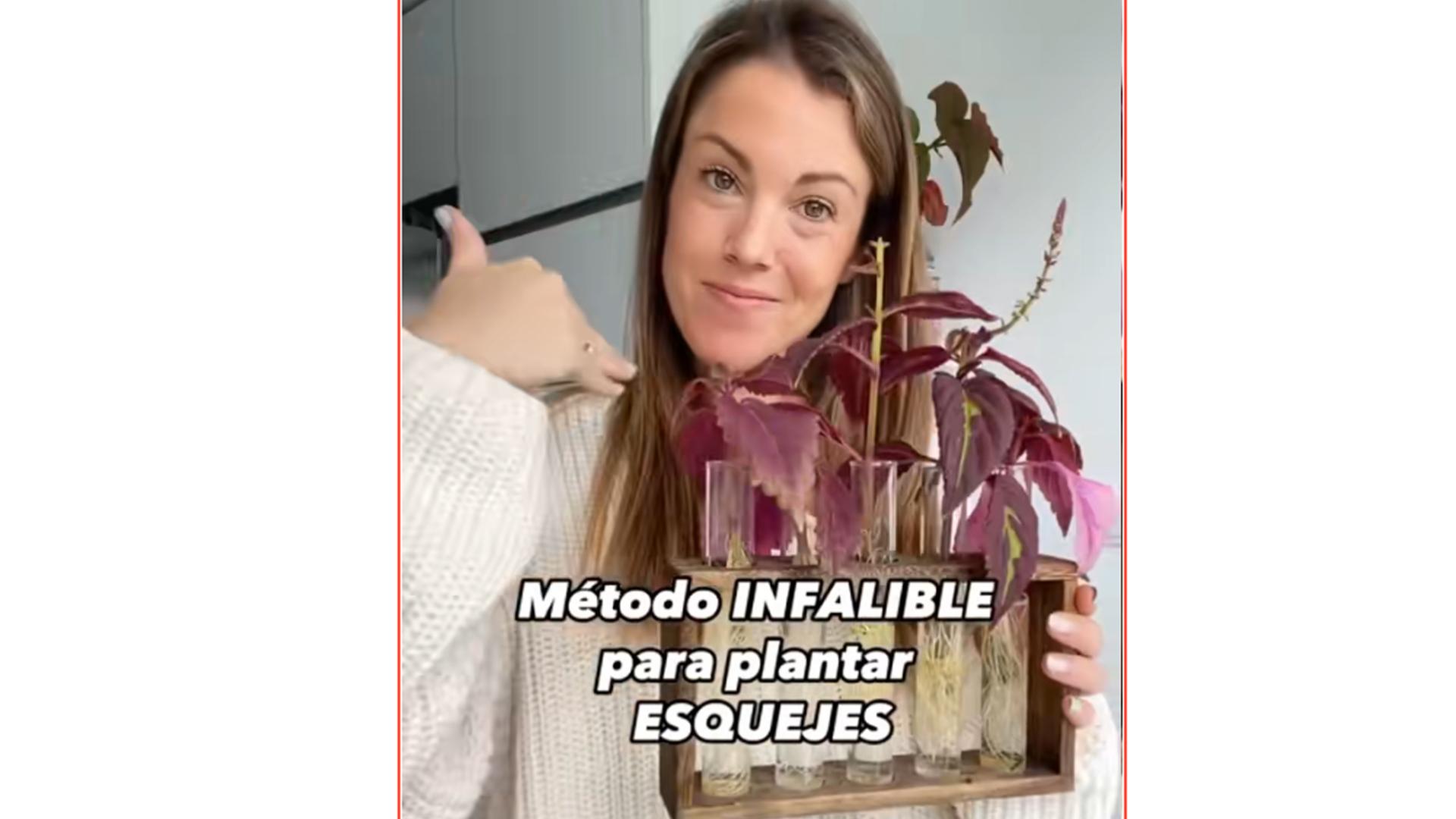 Natalia Sáez explica las claves para plantar con éxito los esquejes