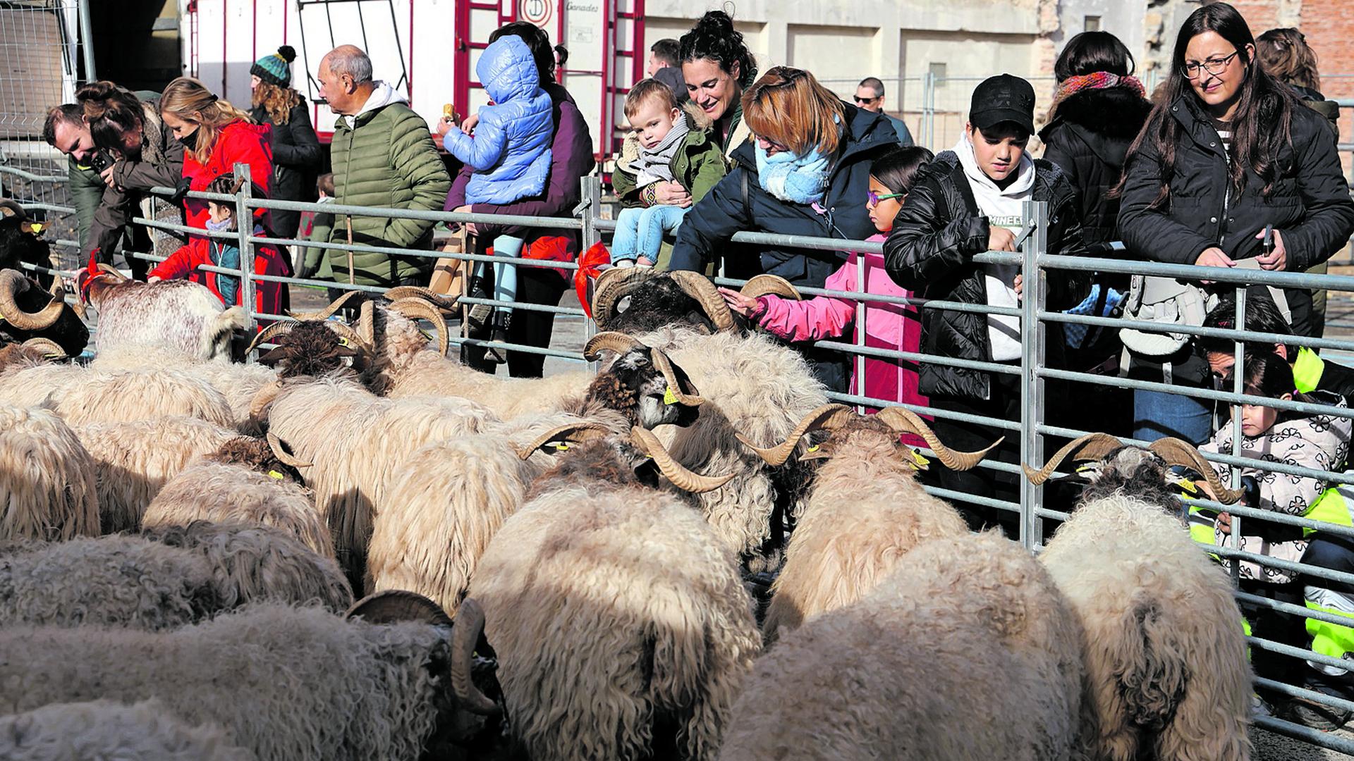Los más pequeños disfrutaron con los animales que hubo