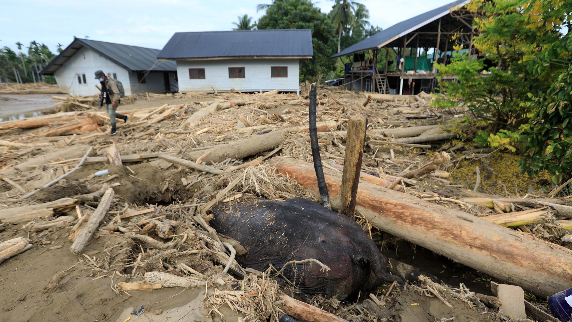 Las inundaciones entierran a un elefante de varias toneladas en Indonesia