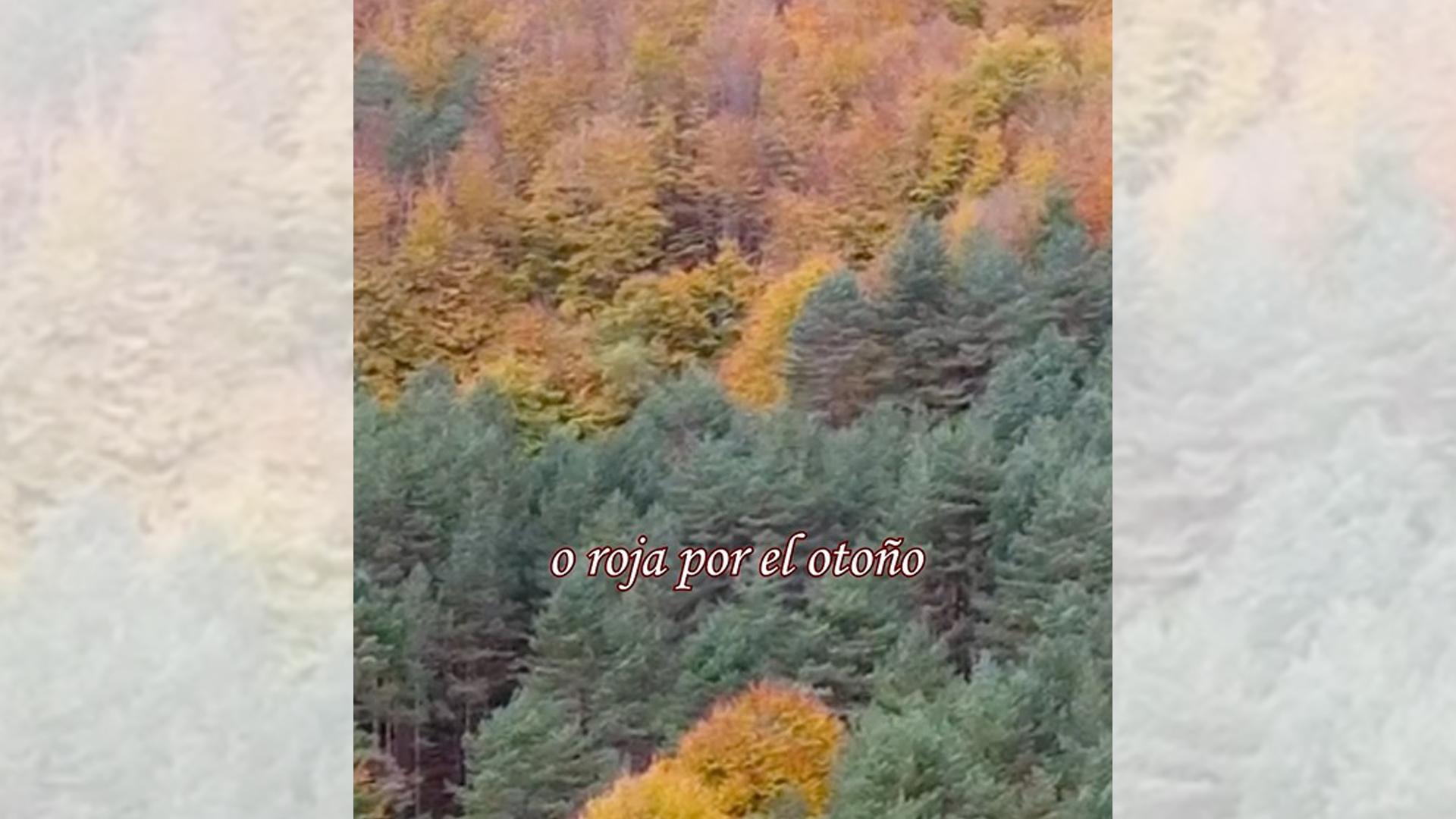 El orgullo de pertenecer a esta tierra... Feliz Día de Navarra