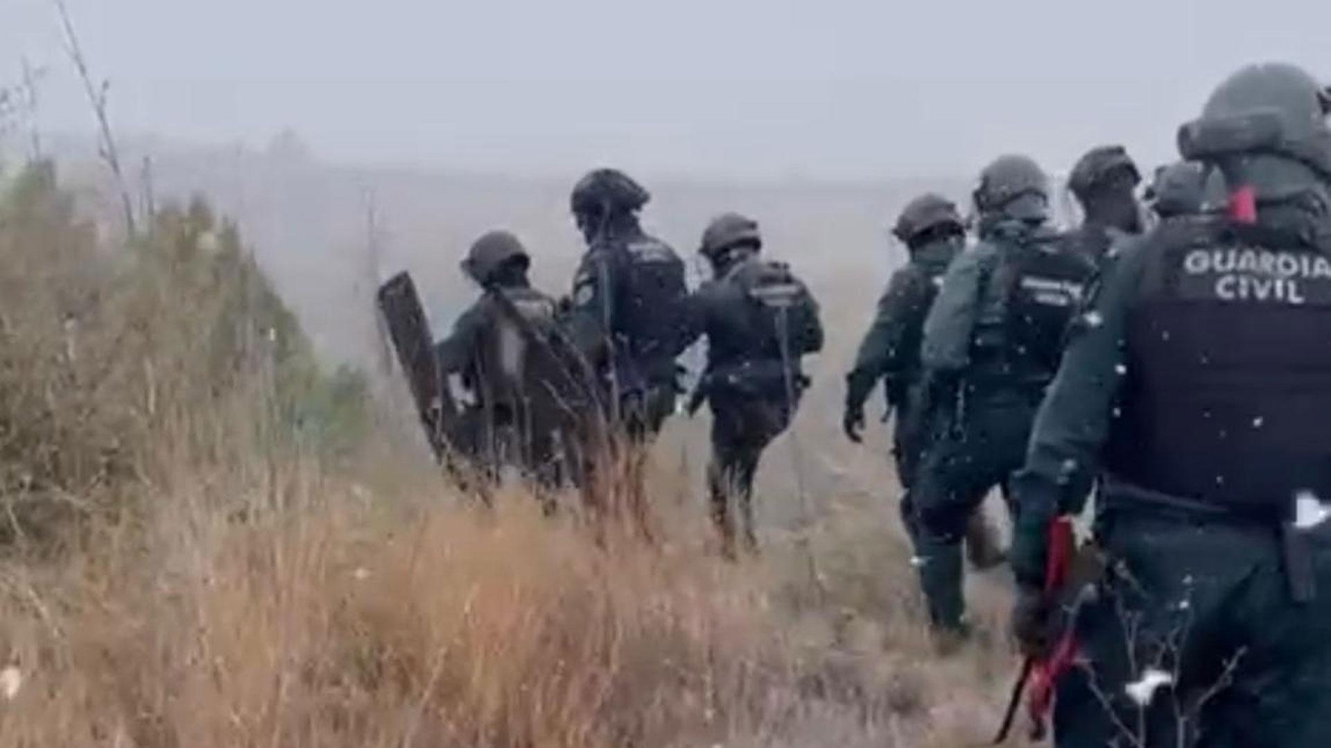 Dispositivo de la Guardia Civil para desmantelar una plantación de marihuana cerca de Sangüesa