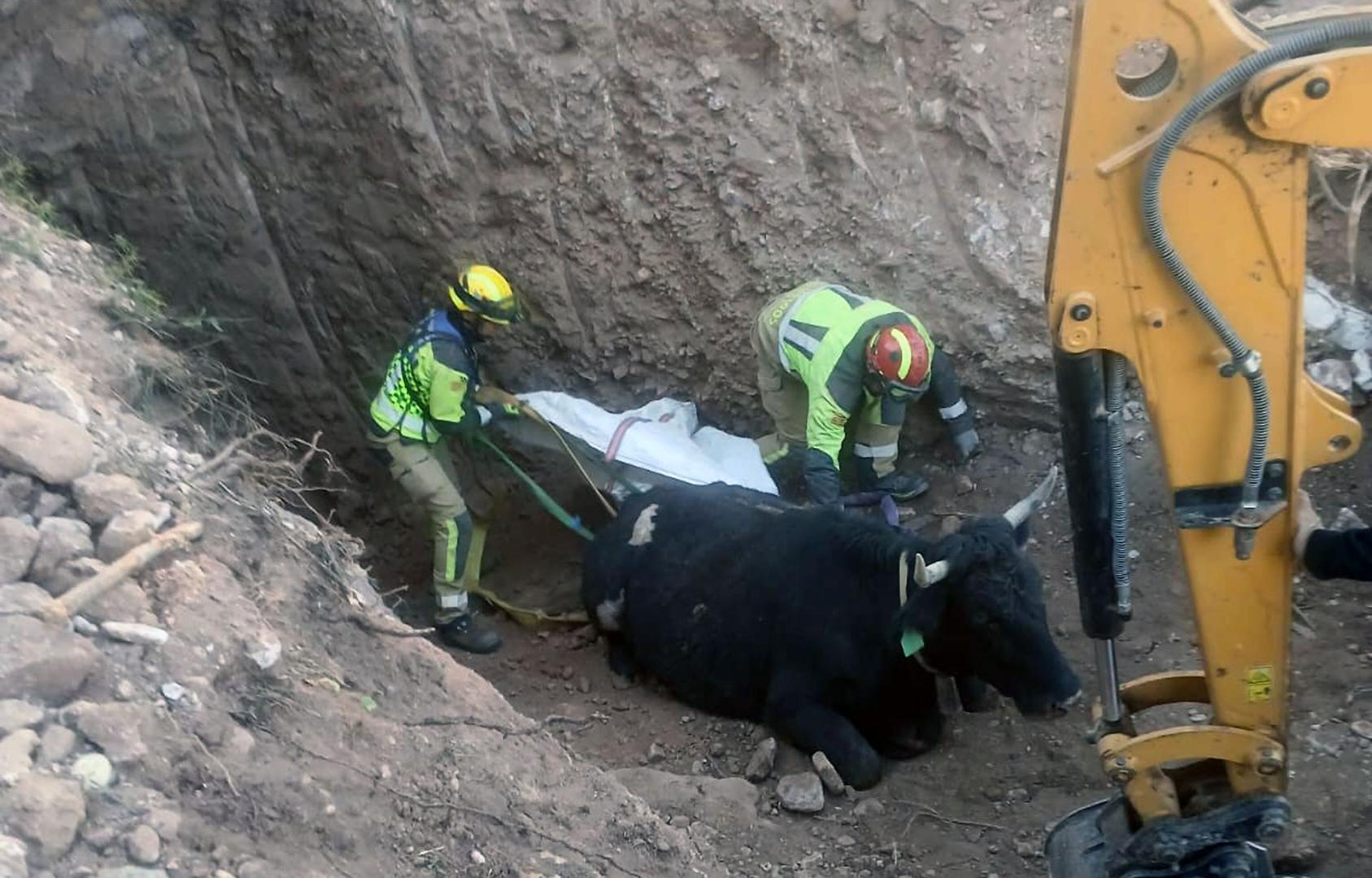 vaca rescate