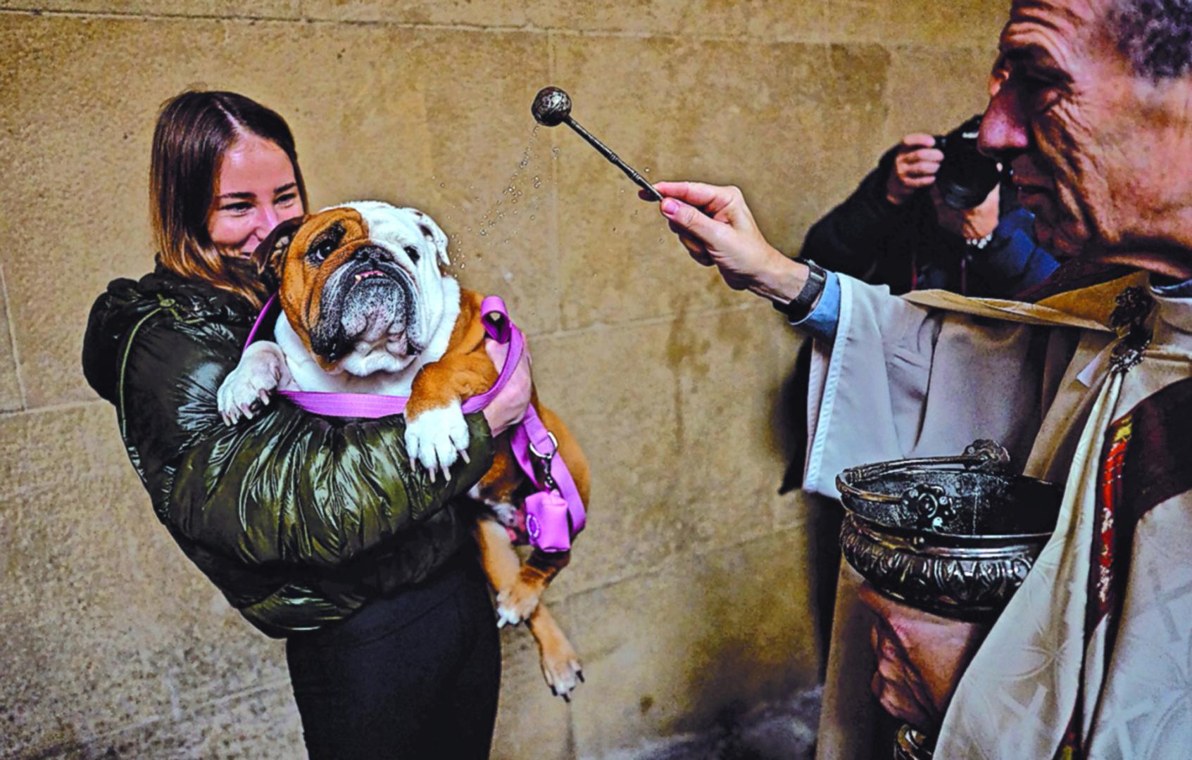 Bendición de animales por San Antón en la iglesia San Nicolás de Pamplona