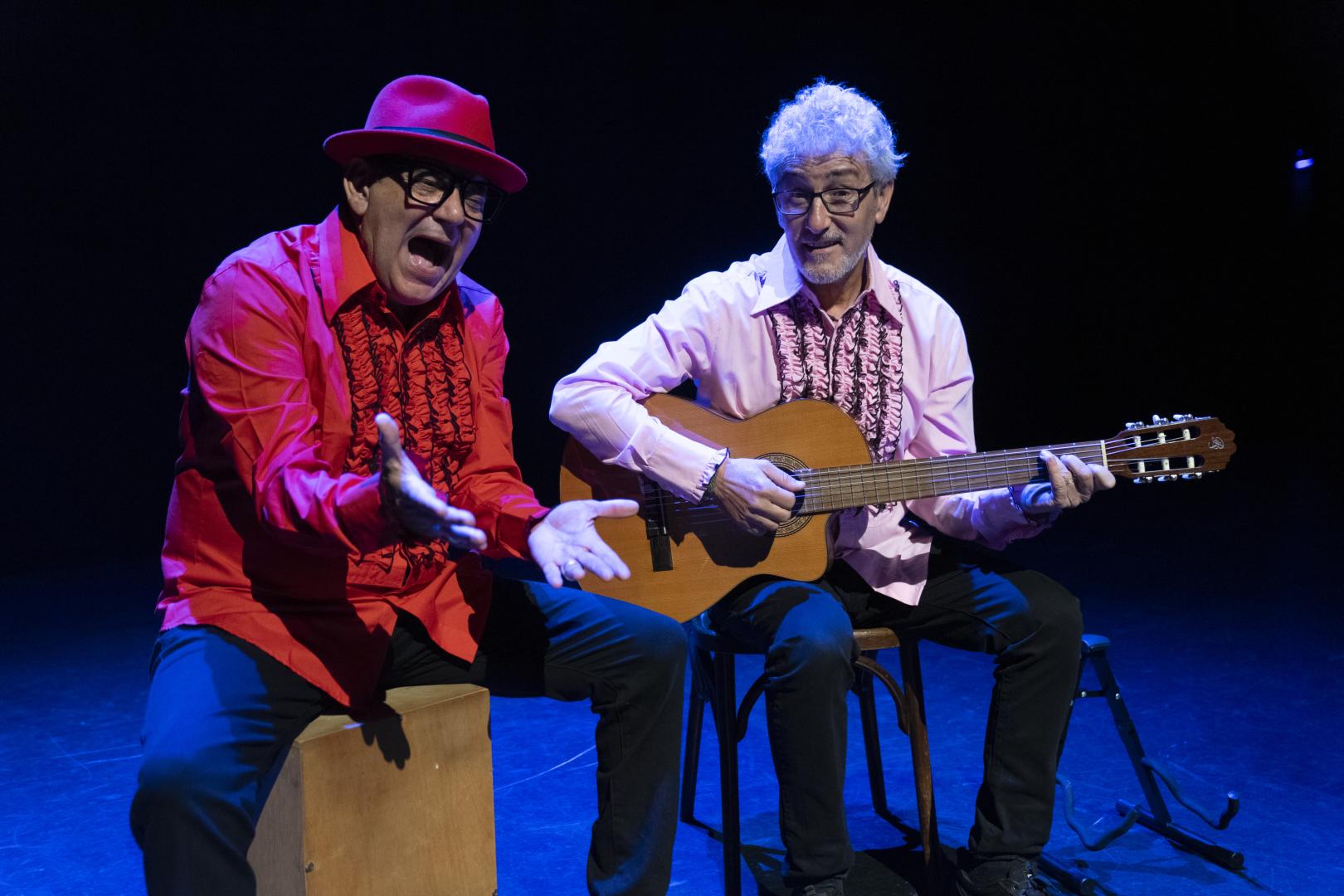 ‘No somos Estopa’, humor esta tarde en el Gayarre.
