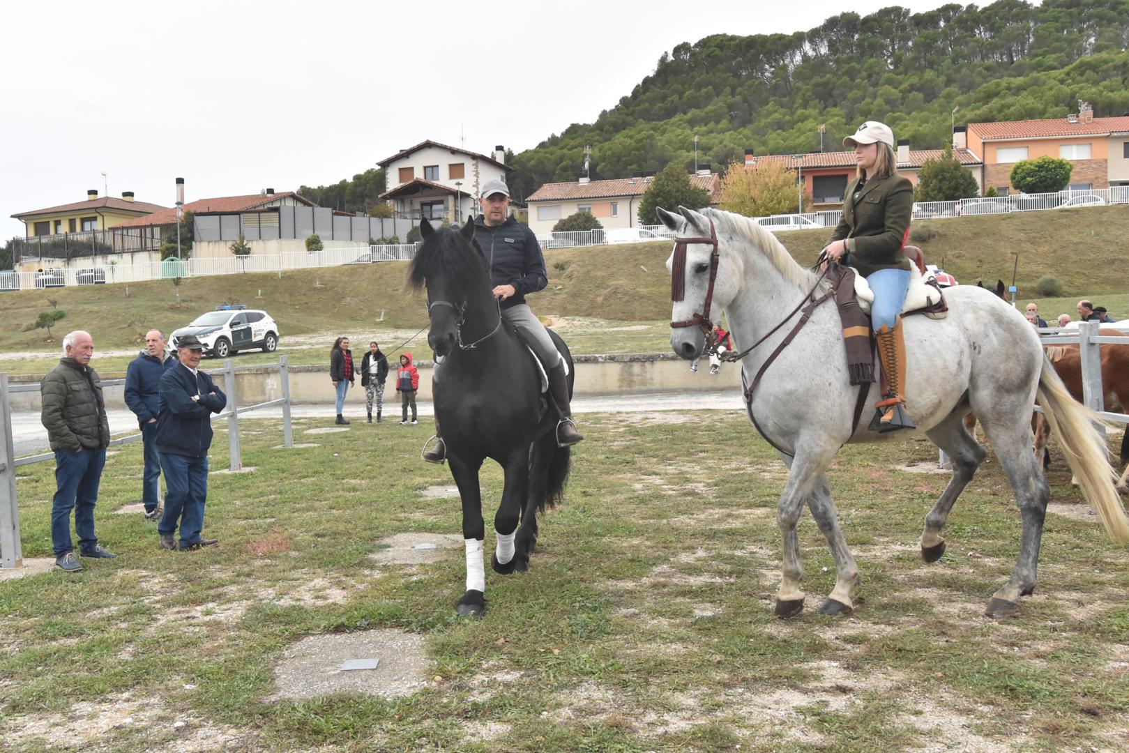 Caballos por el ferial en una edición pasada de las ferias en Tafalla.