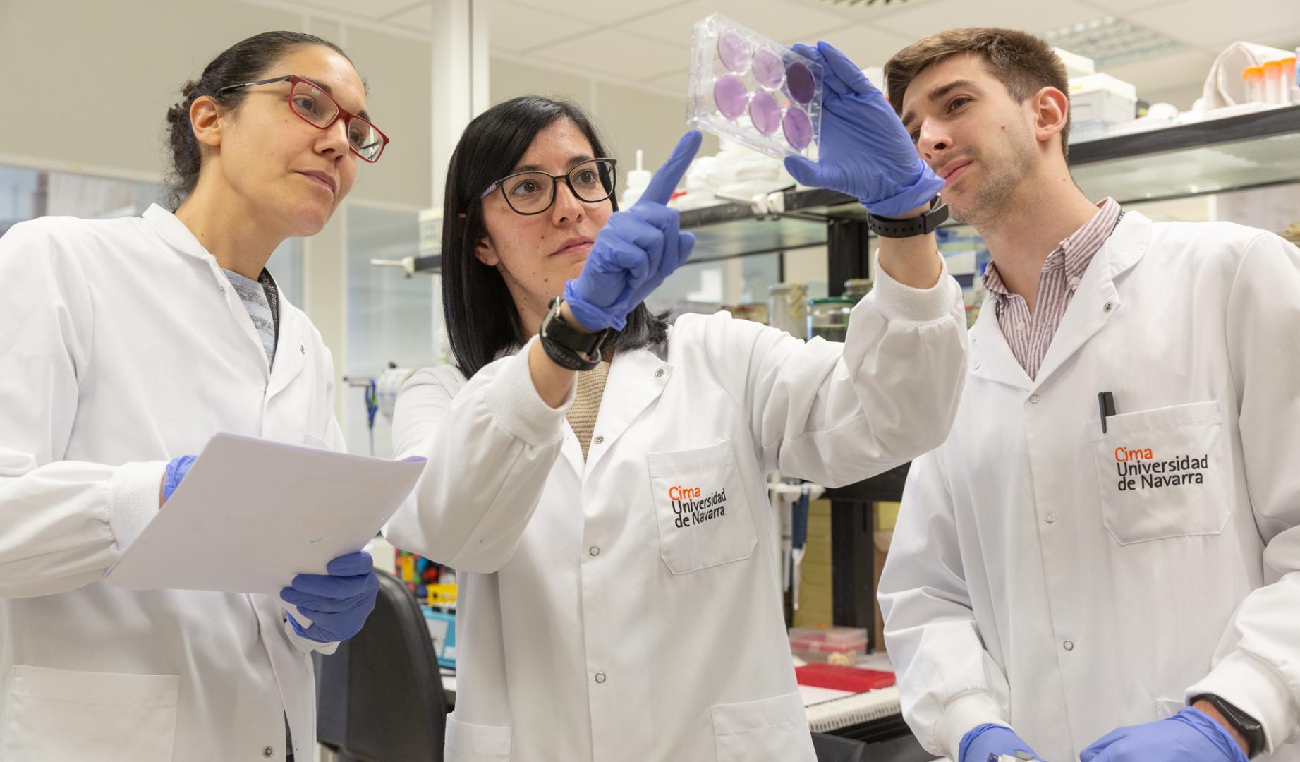 Investigadores del Grupo de Oncología Traslacional del Cima, centrado en tumores de ovario y de pulmón.