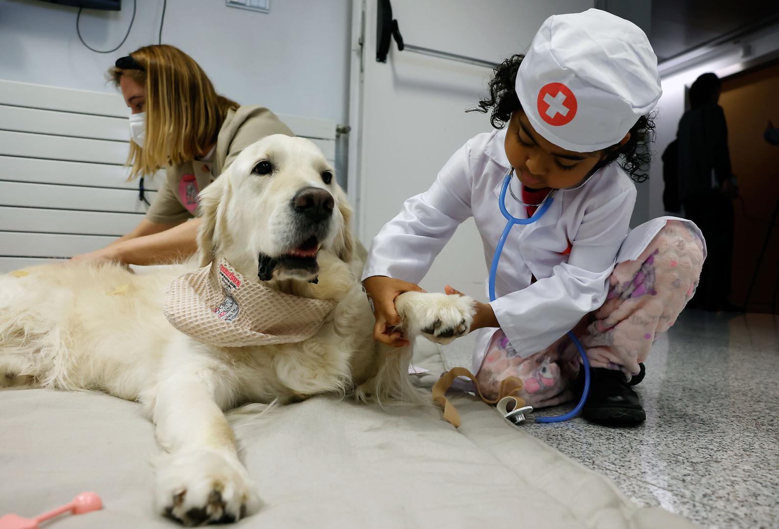 perros CLINICA UNIVERSIDAD NAVARRA