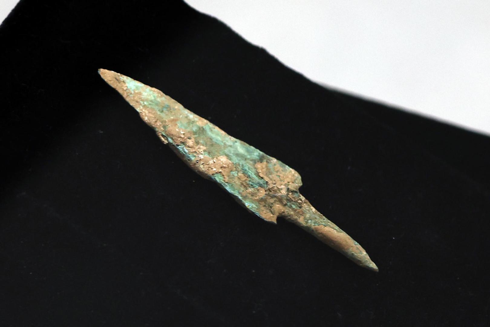 Fotos del esqueleto del bisonte de hace 4.000 años hallado en Urbasa