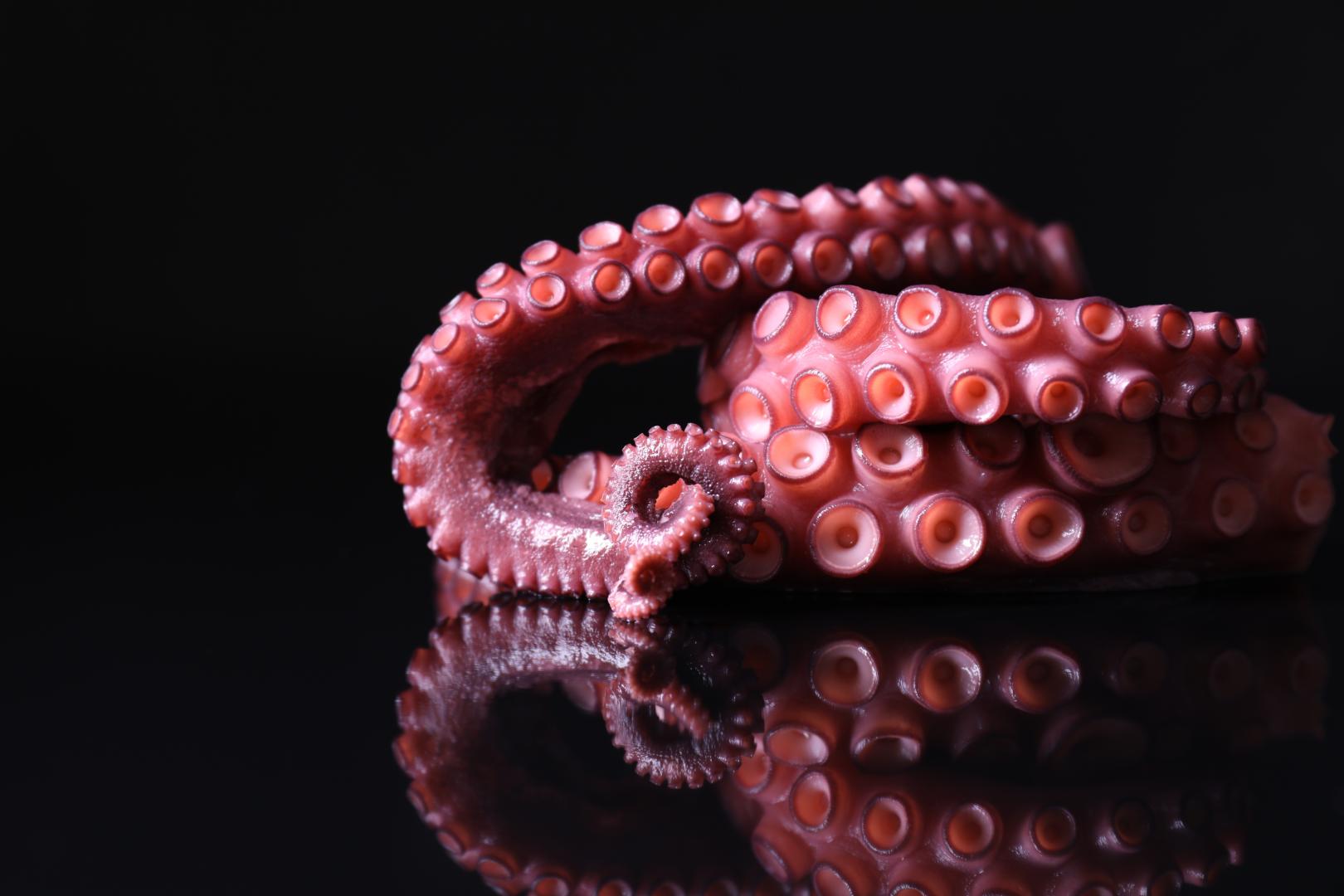Uno de los grandes mitos entre los cocineros caseros es que congelar el pulpo rompe sus fibras y, por tanto, ablanda su carne