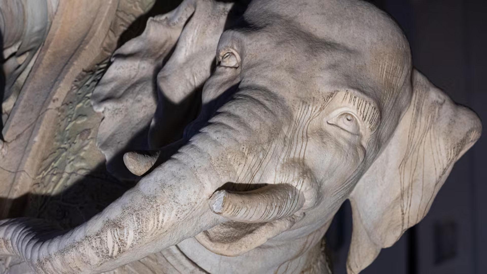 El elefante de la Plaza della Minerva en Roma, esculpido por Gian Lorenzo Bernini, ha aparecido con un colmillo roto