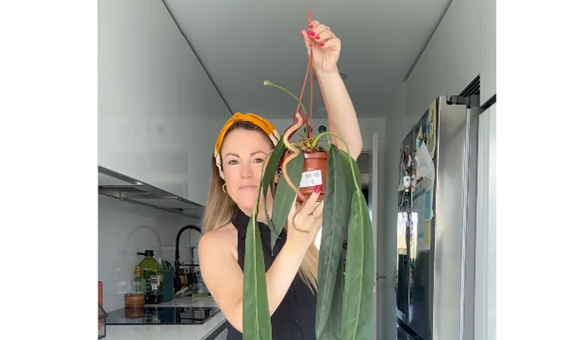 Natalia Saez, con un Anthurium Wendy Blending