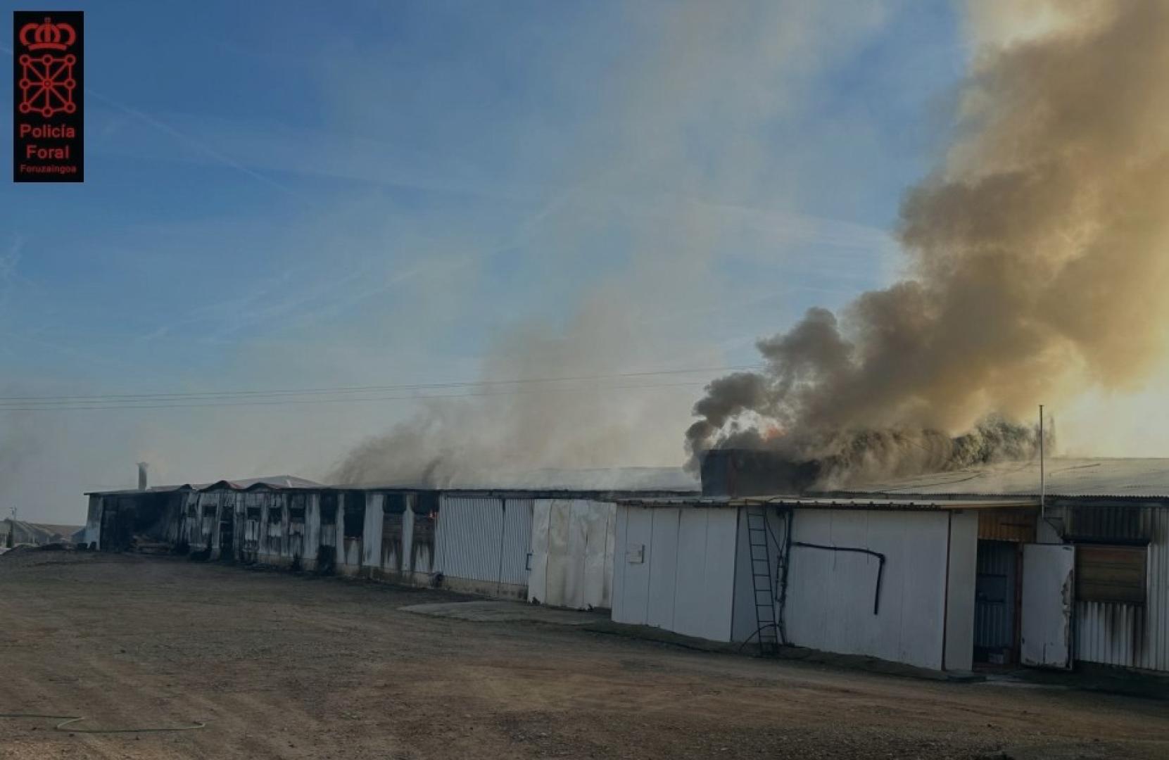 Vídeo del incendio que ha afectado a una granja de pollos en Villafranca