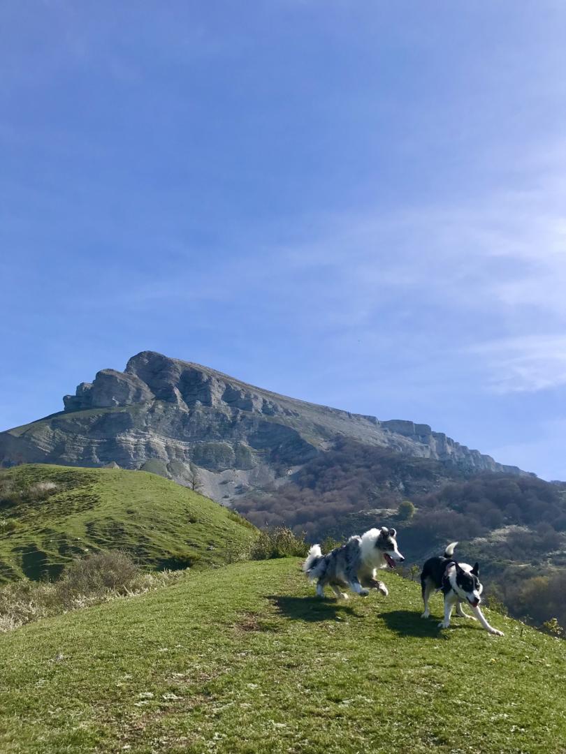 San Donato también es un buen destino para salir de excursión con perros.